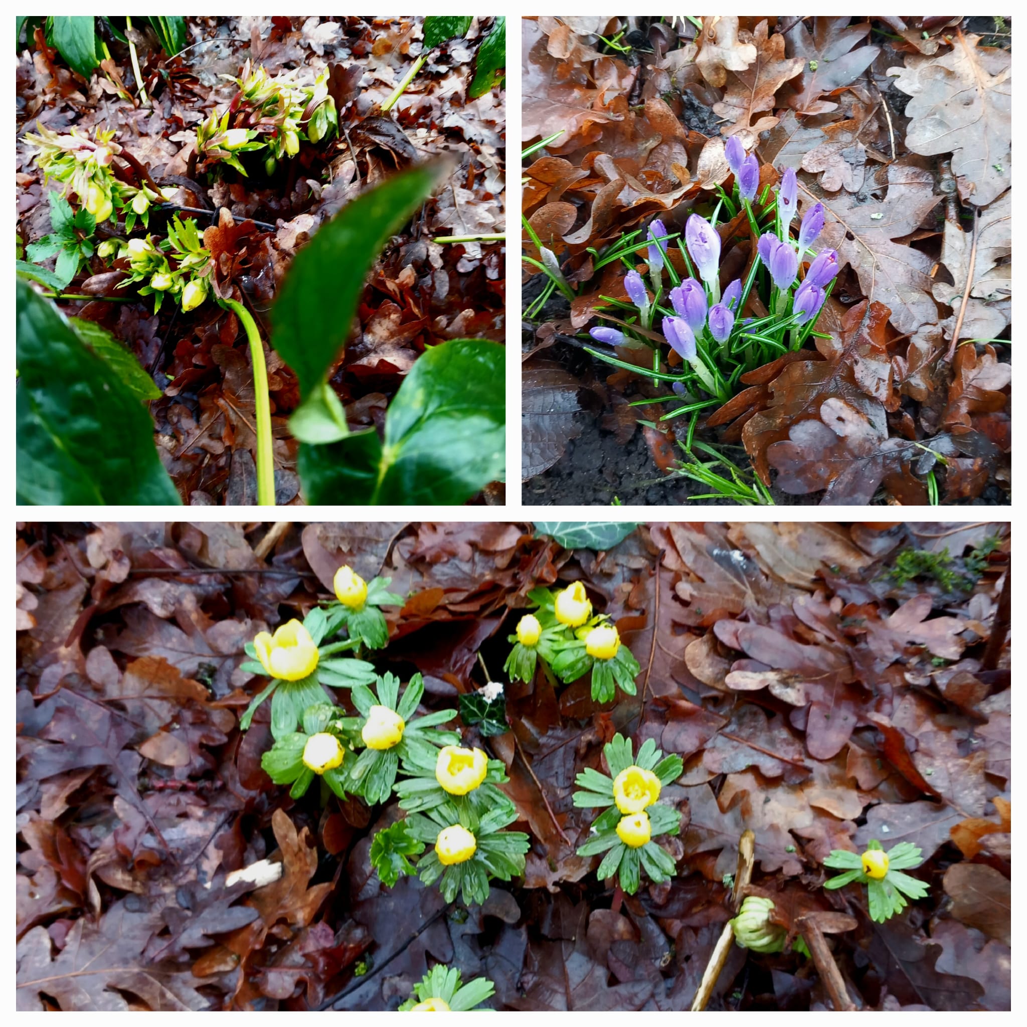 De agenda tot en met september