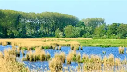 Wandelen rondom de Zwaakse Weel