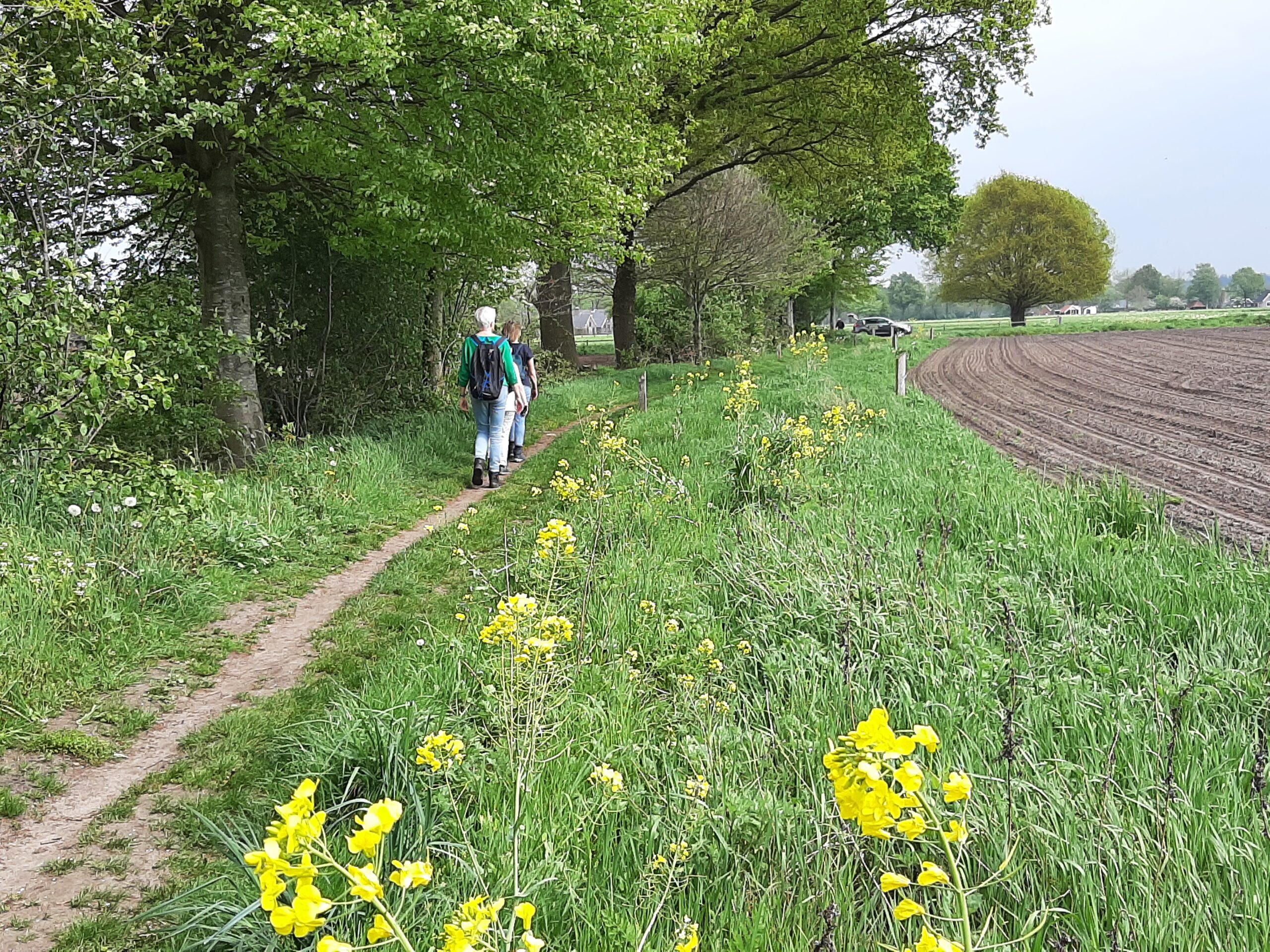 Provinciale Wandeling Den Ham