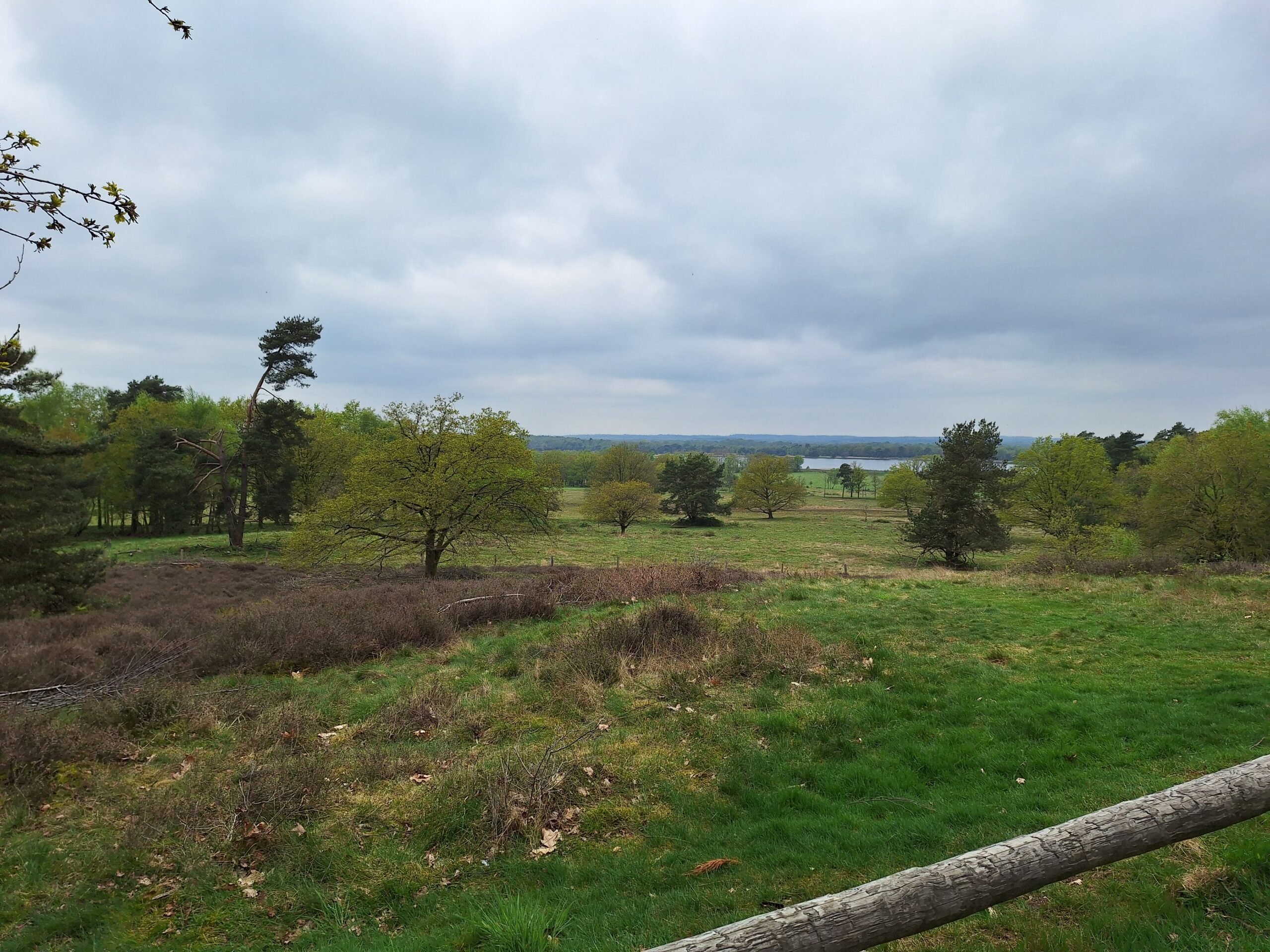 Provinciale Wandeling Markelo