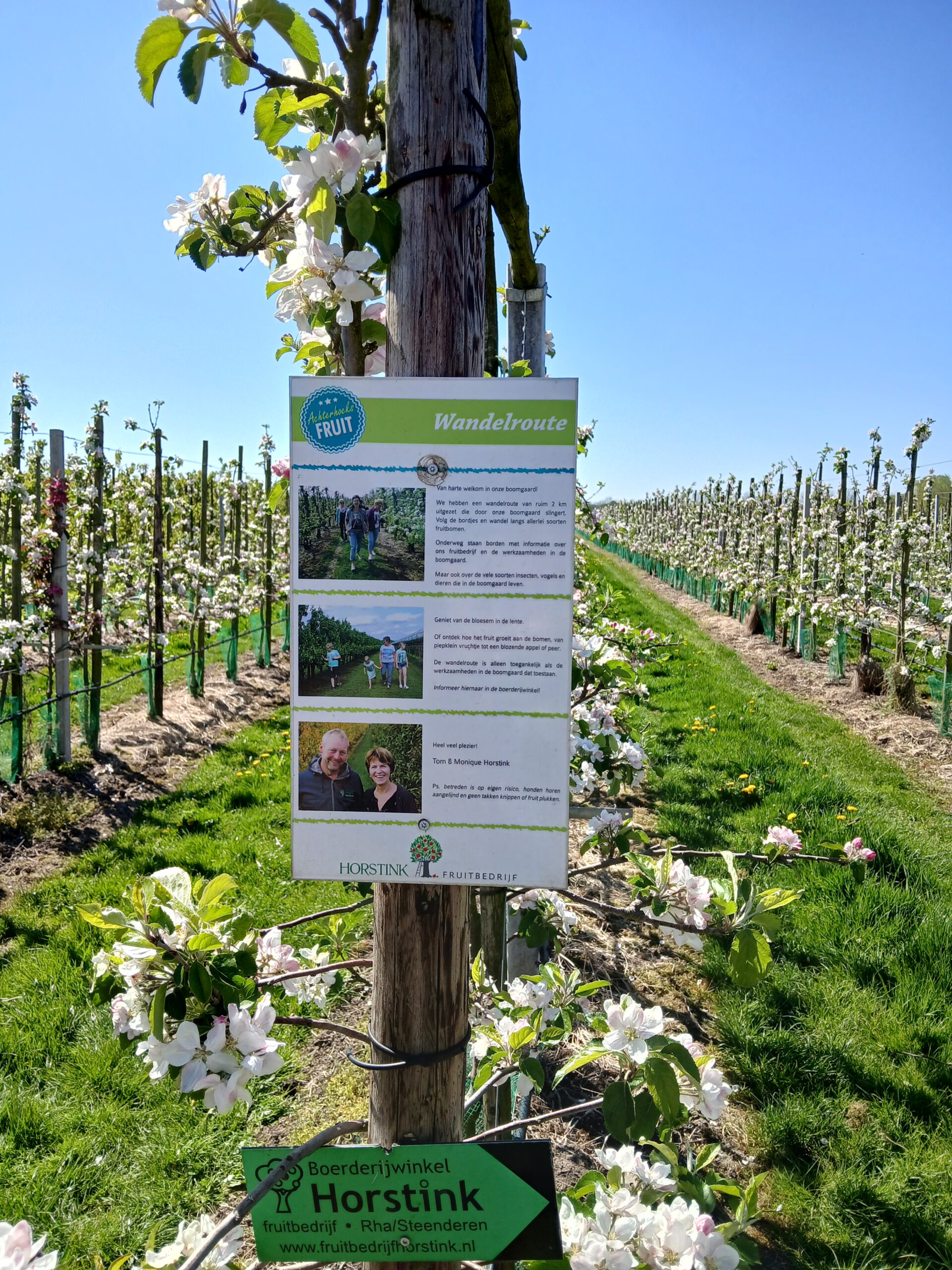 Tuinclub de Harken bij fruitbedrijf Horstink in Rha