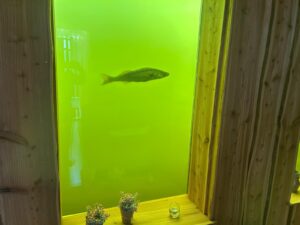 27ff5c99-aa66-4c6e-b421-c5ecabb9273f