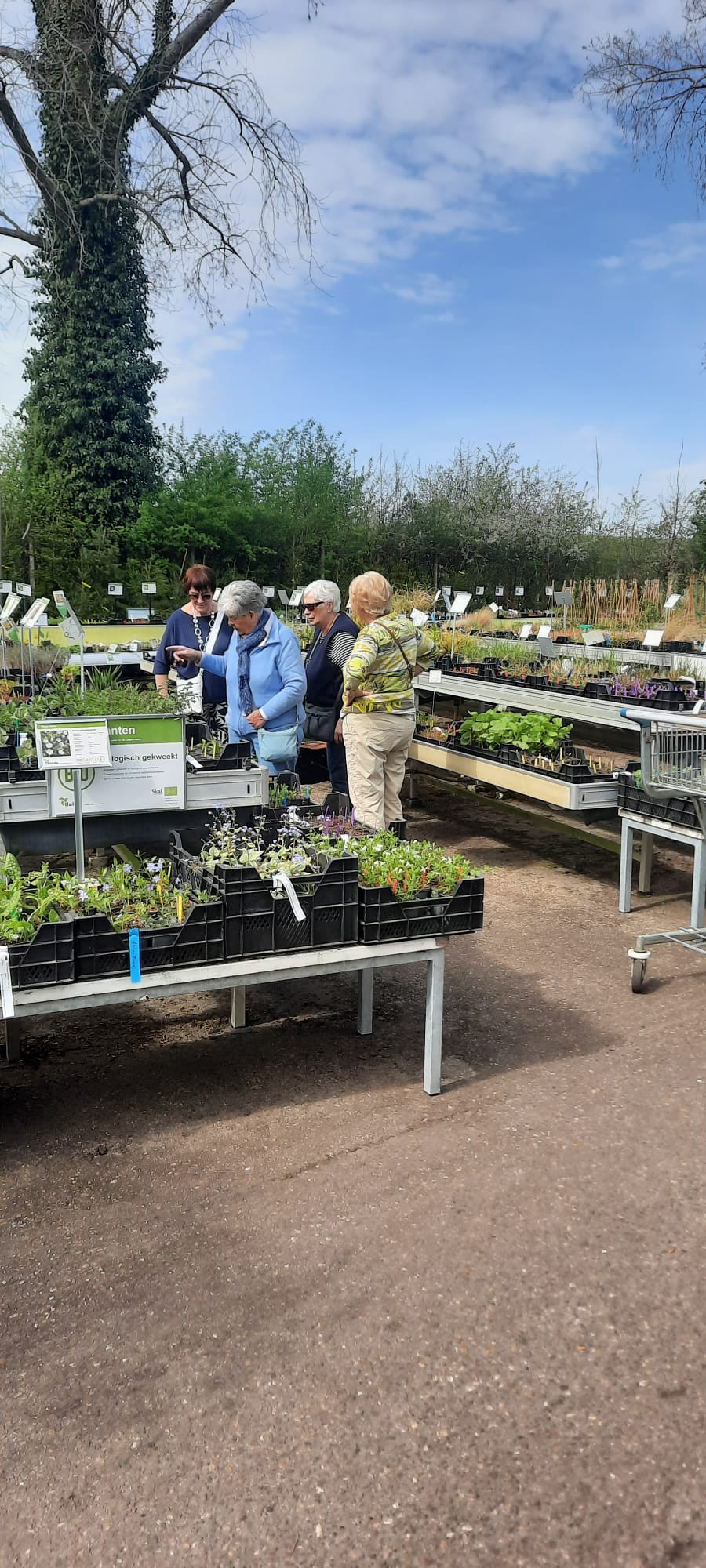 Tuinclub 3 bezoekt Holsto Tuinen