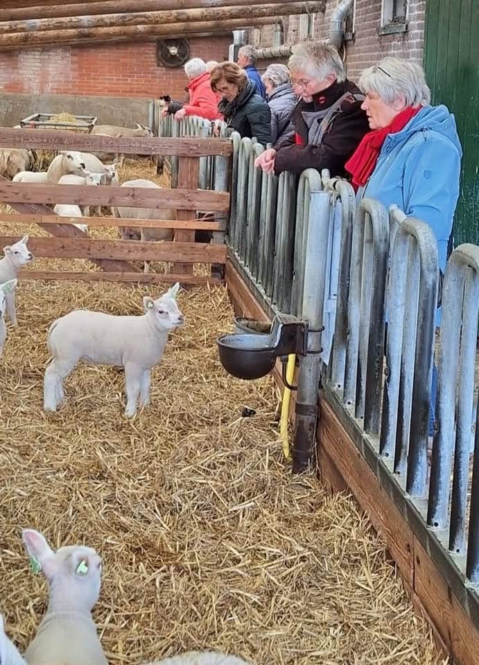 ClubOpStap 🎈 Lammetjes kijken