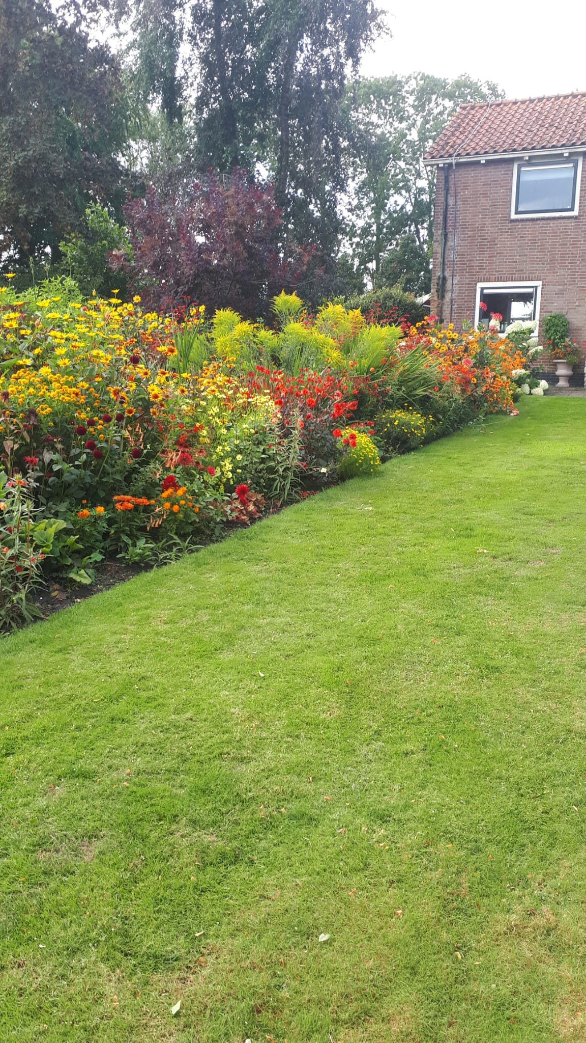 Tuinclub 2de helft 2025