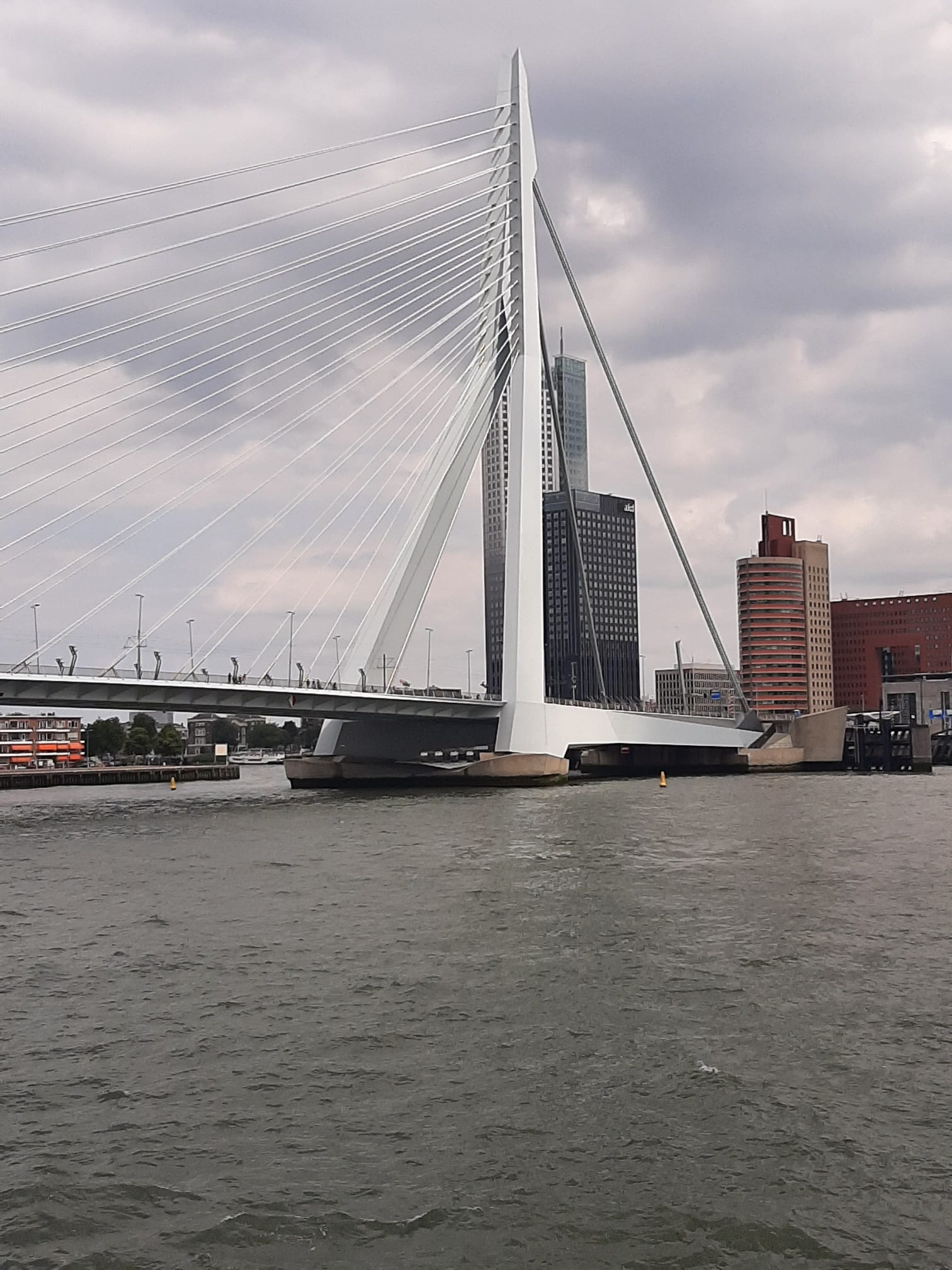 Dagreis Rotterdam 2025