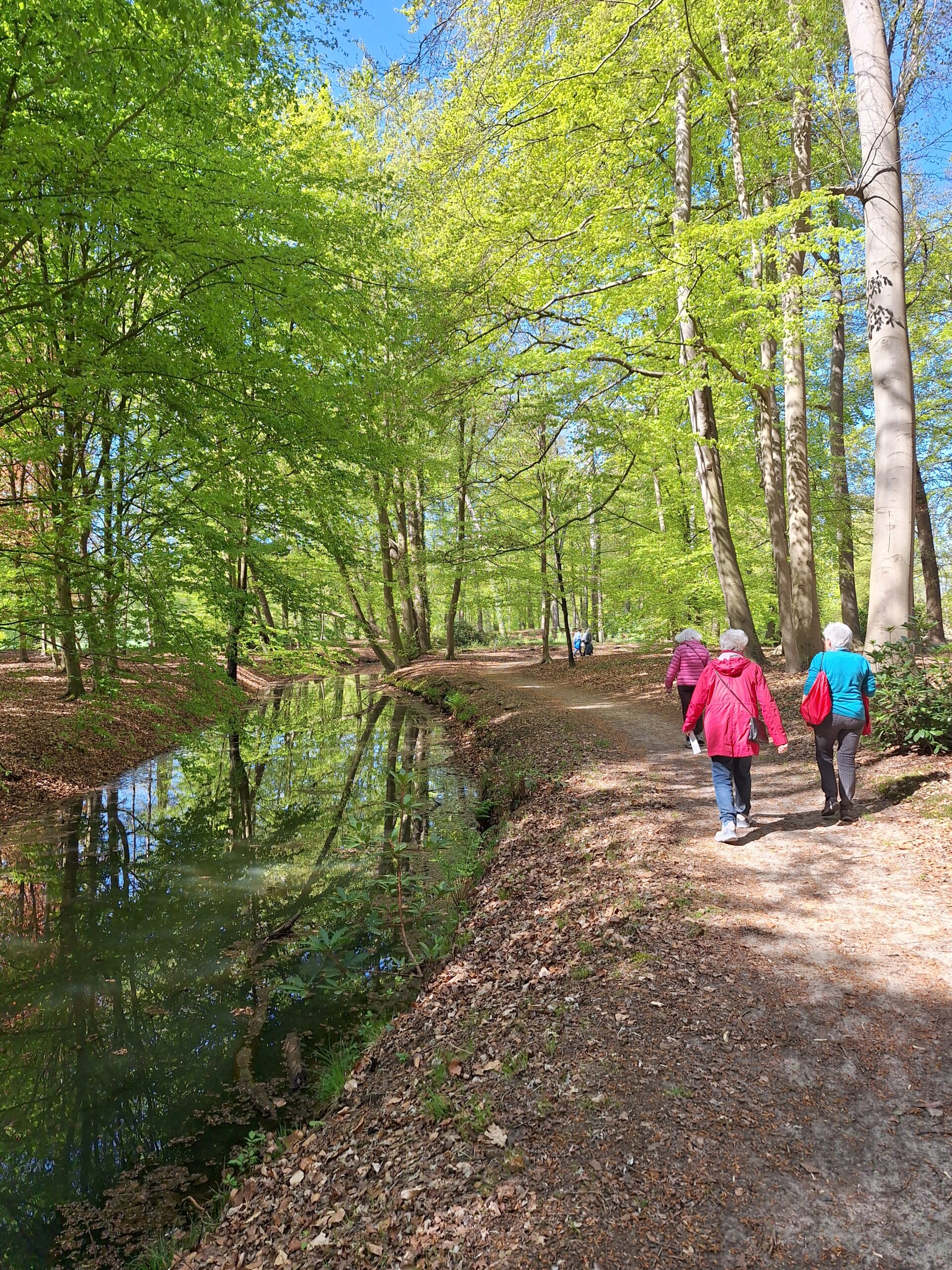 Diepenveen provinciale wandeling april 2026