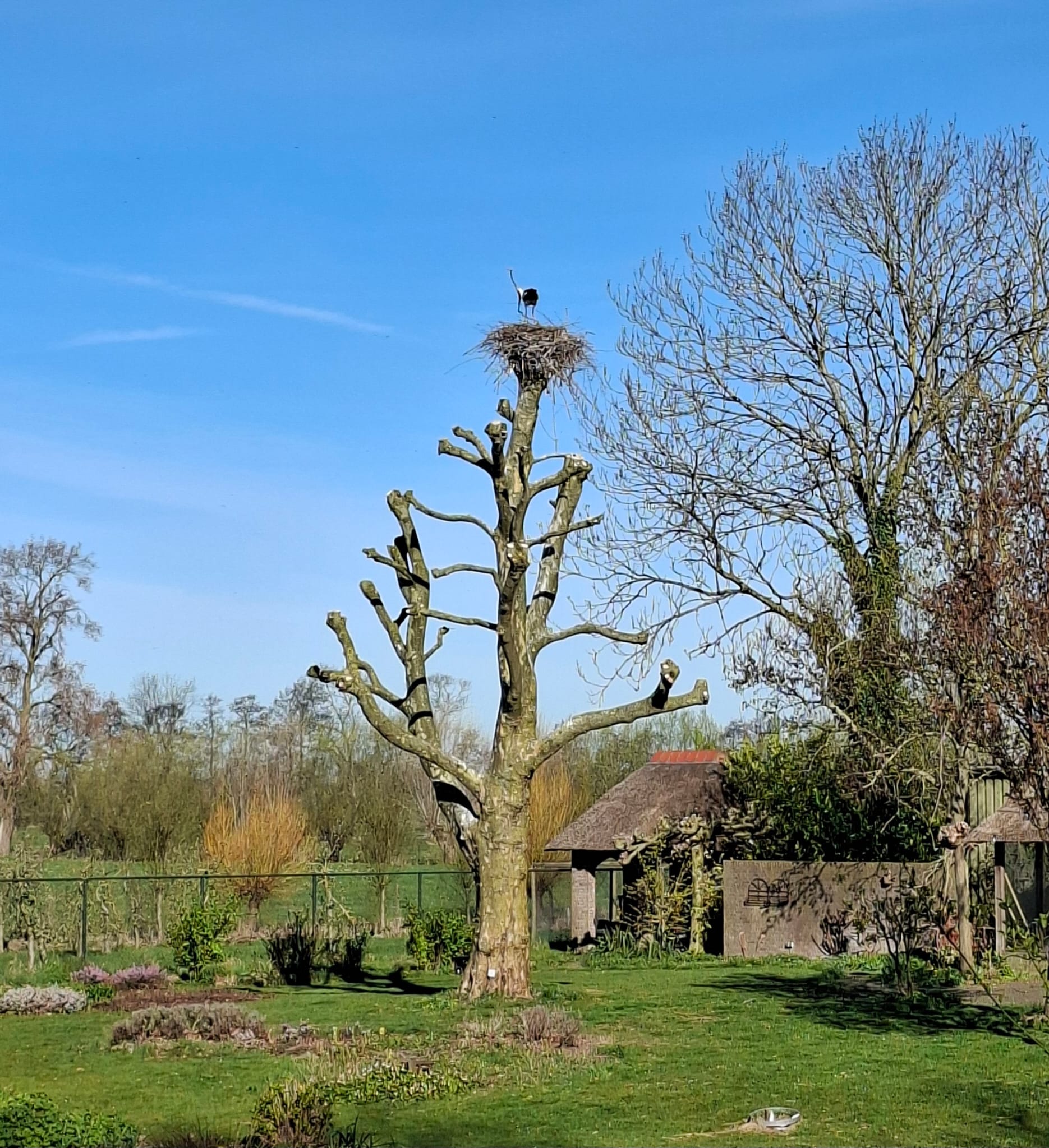 wandeling 8 maart 2026