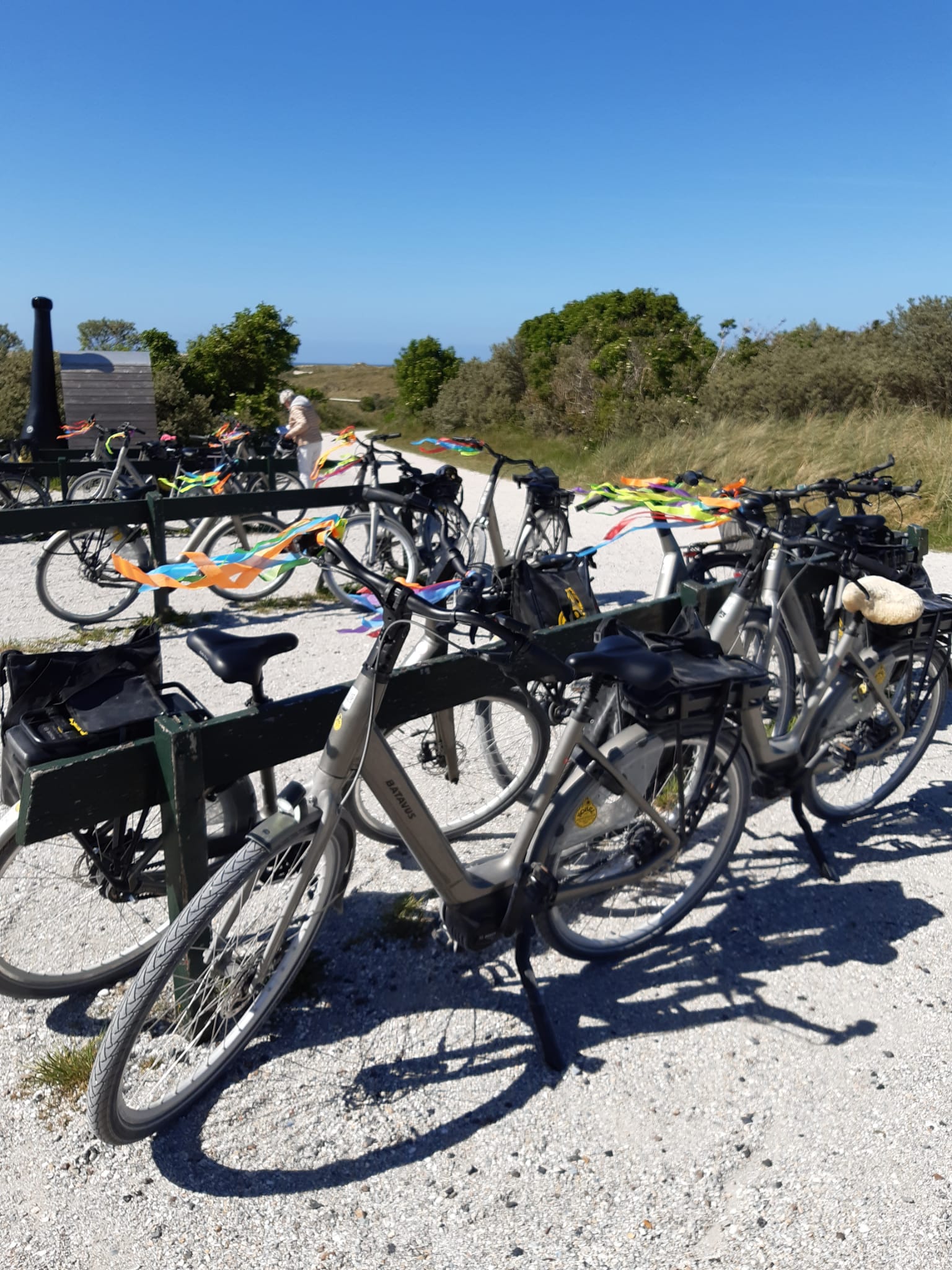Provinciale Fietsdag 27 mei 2026 georganiseerd door afd. Ameland