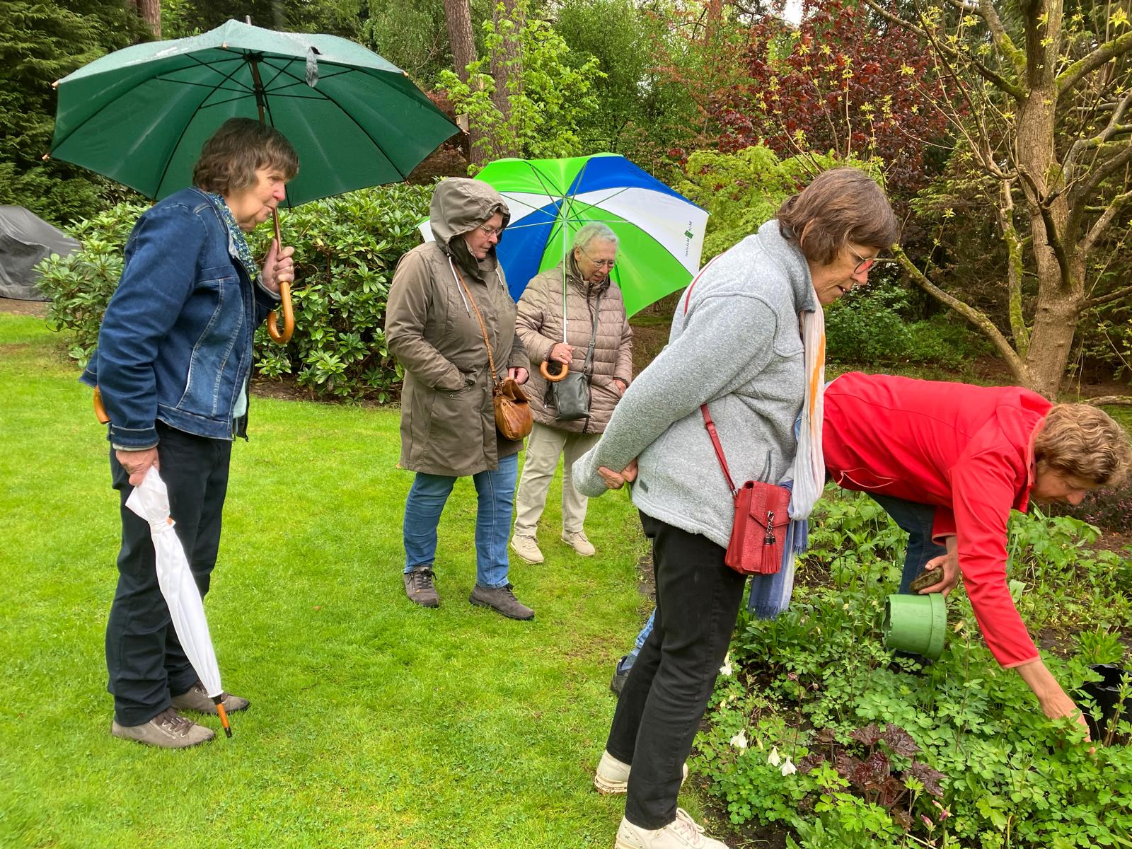 2026 mei – Tuinclub Bloesem bezoekt Bostuin De Look te Holten