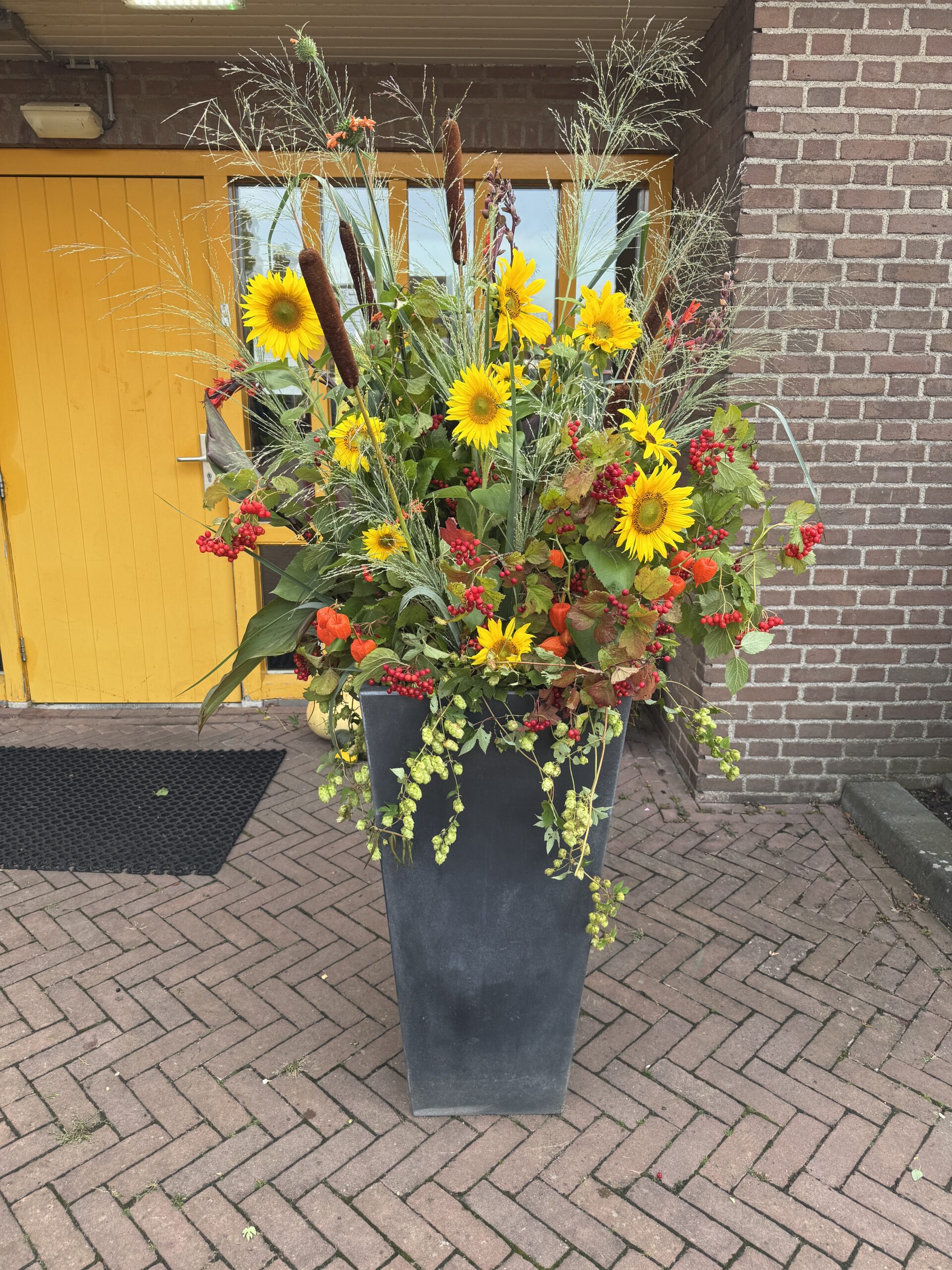 Groeninfodag in Eefde  sept 2025