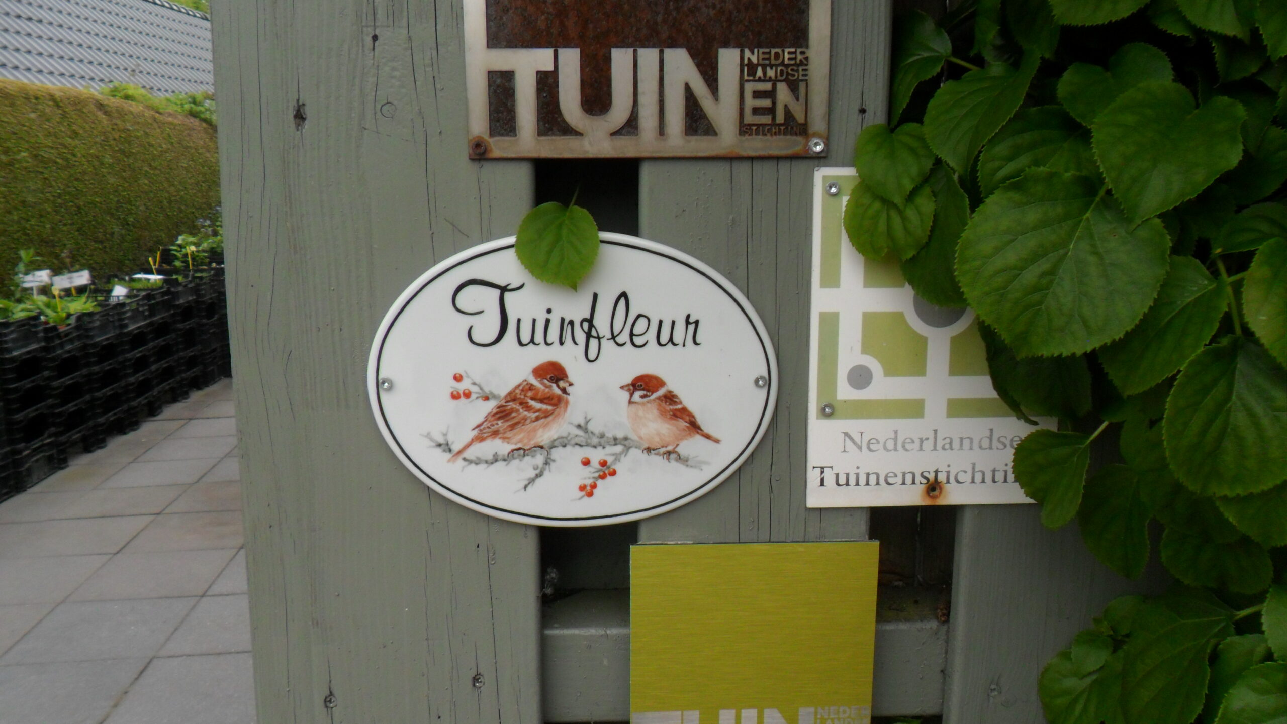 Tuinclub naar Tuinfleur Oostwold 5-5-2026