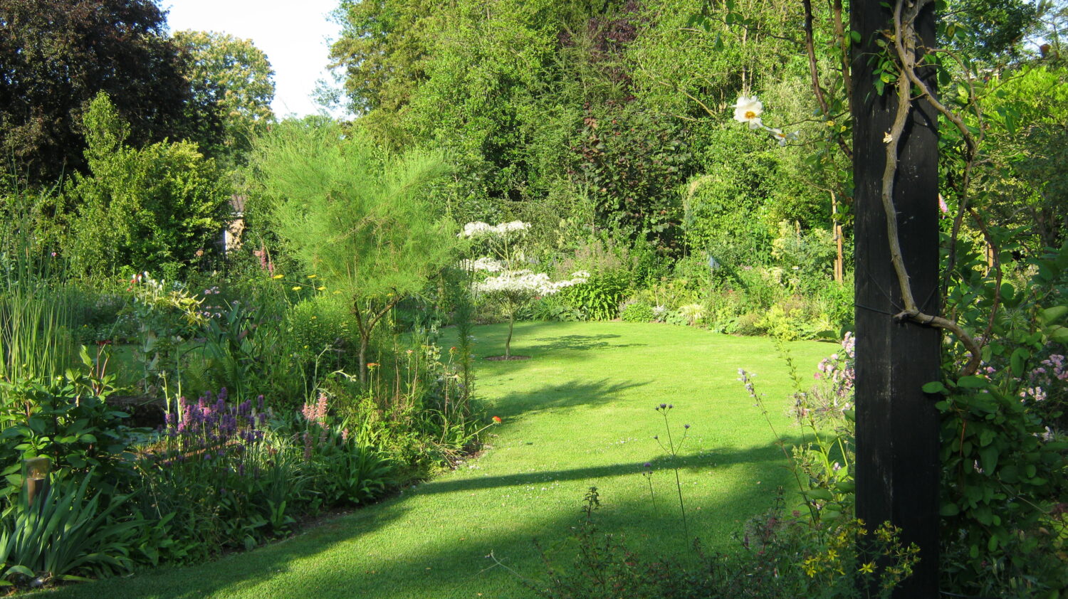 In de tuin van Ton