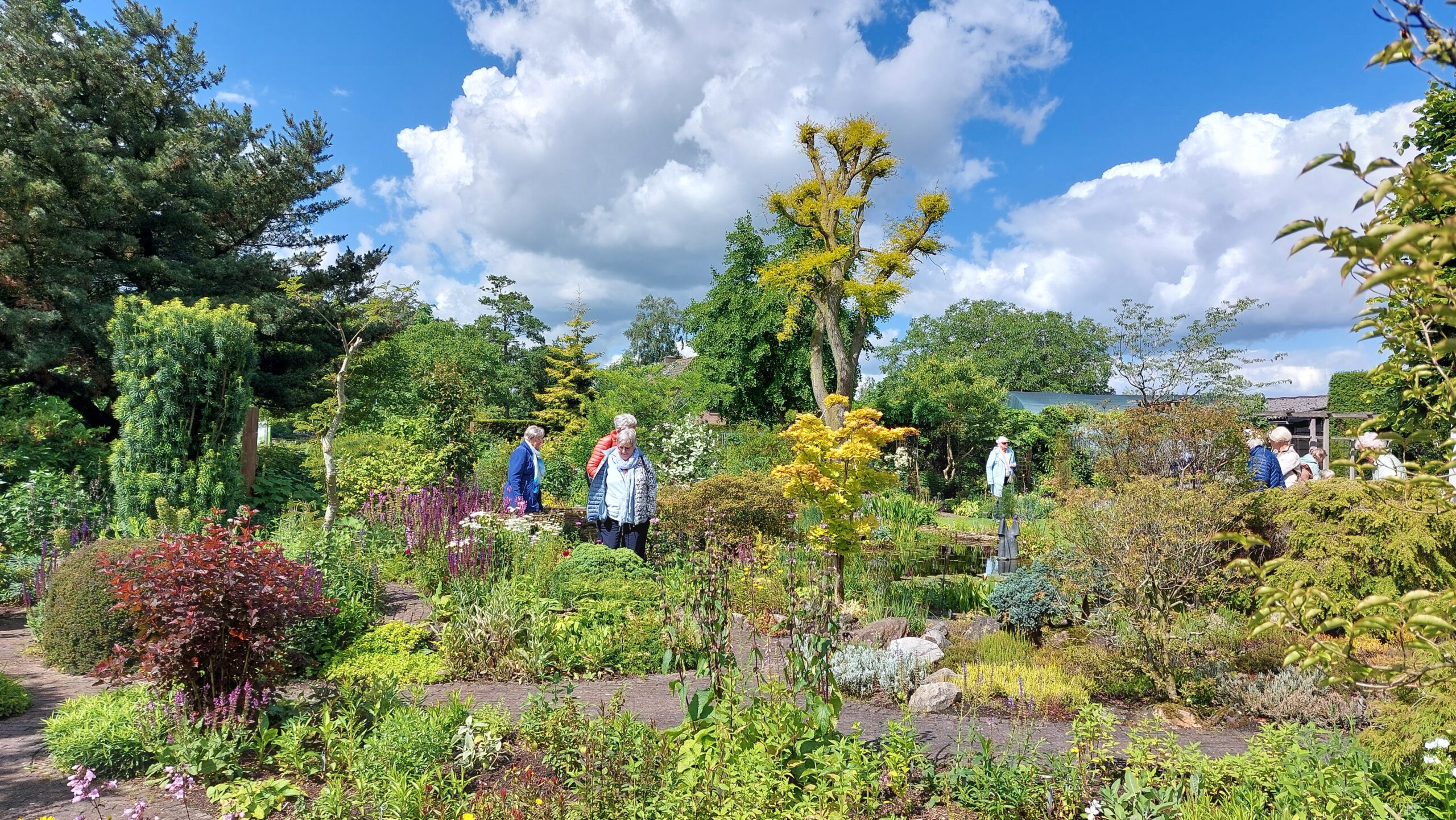 Tuinclub in tuin in Ermelo 06-2026