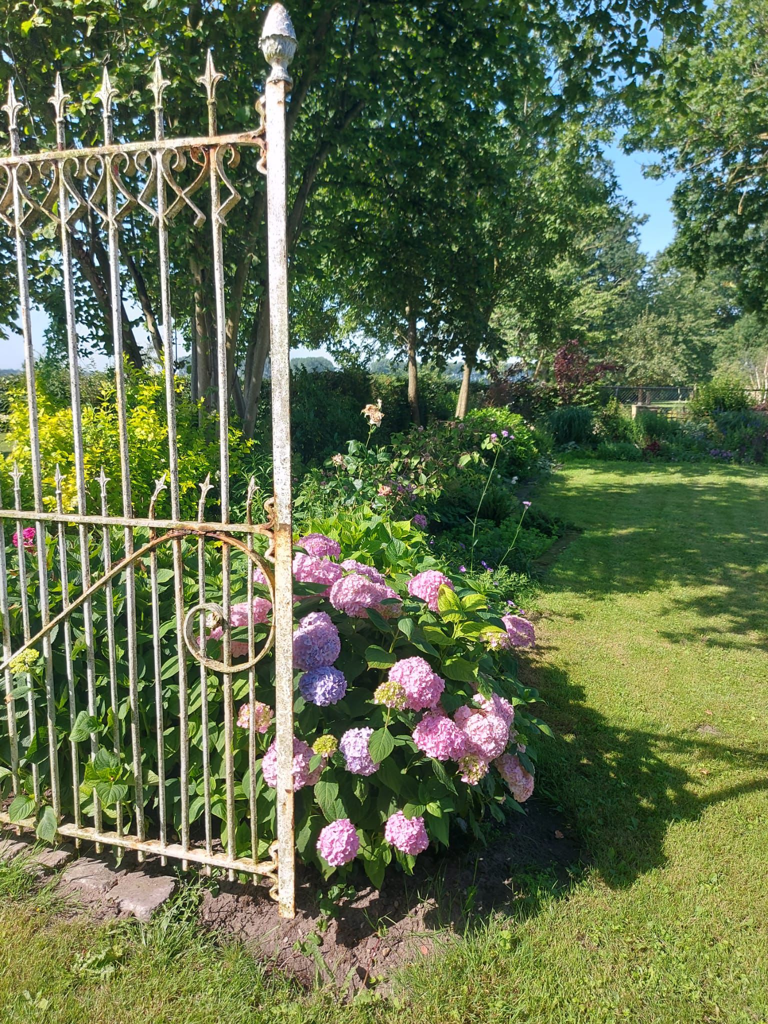 2026-6-24 Tuinclub.