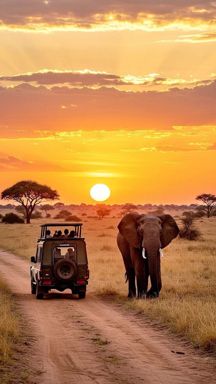 EEN REISVERSLAG : ZUID AFRIKA