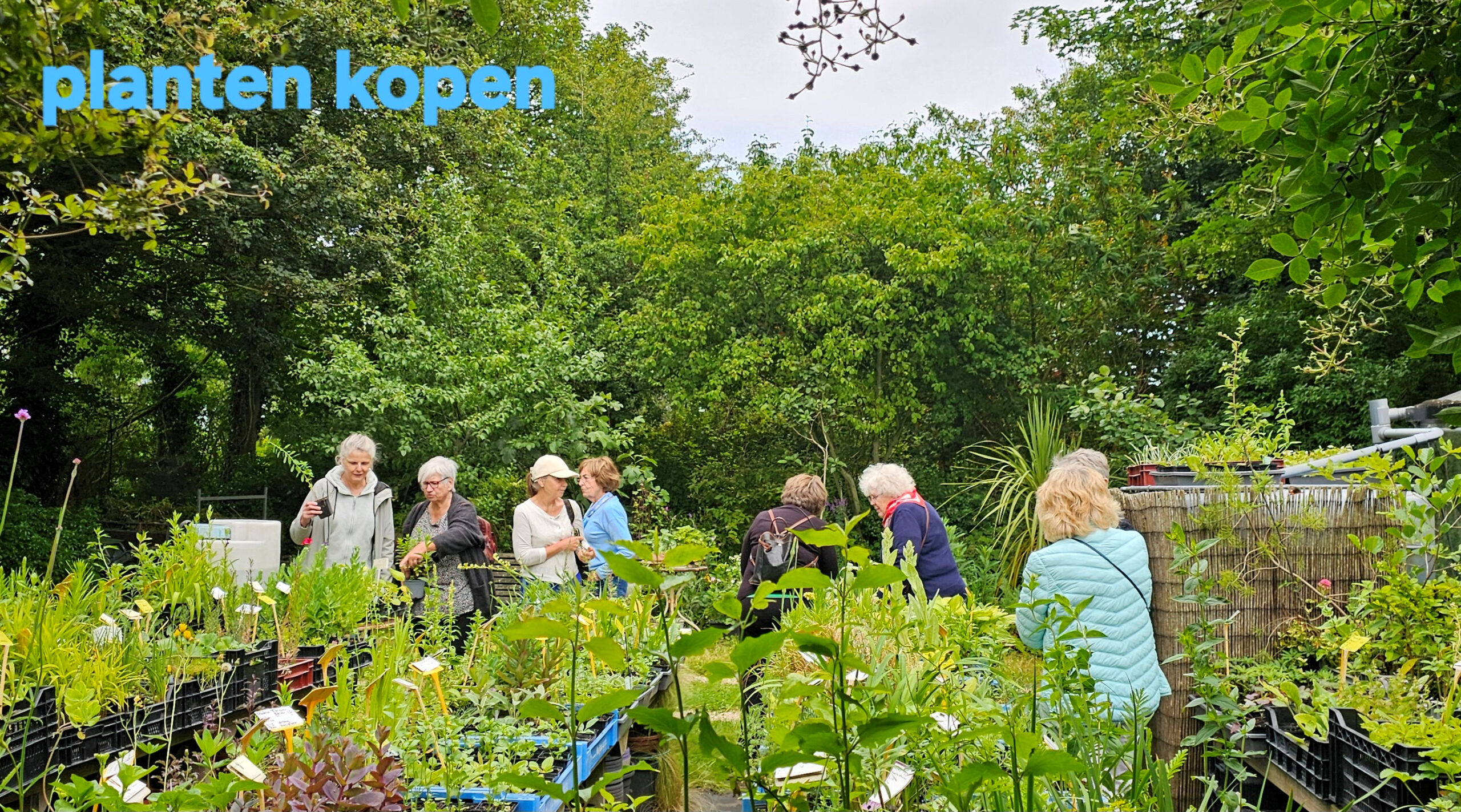 Tuinbezoek Willeke Verschuur