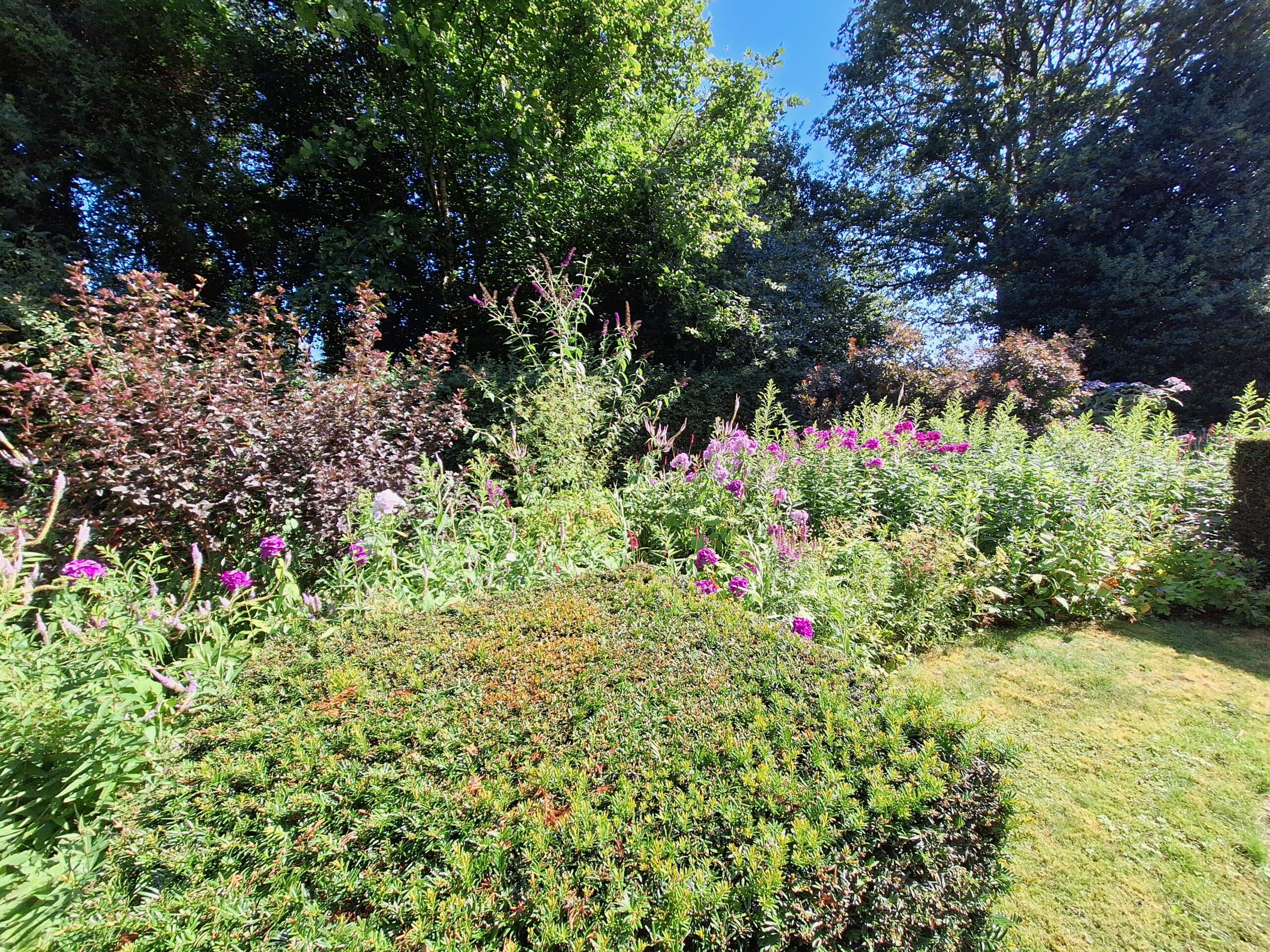 Tuin-op-pad Zuidwolde 14 juli 2026