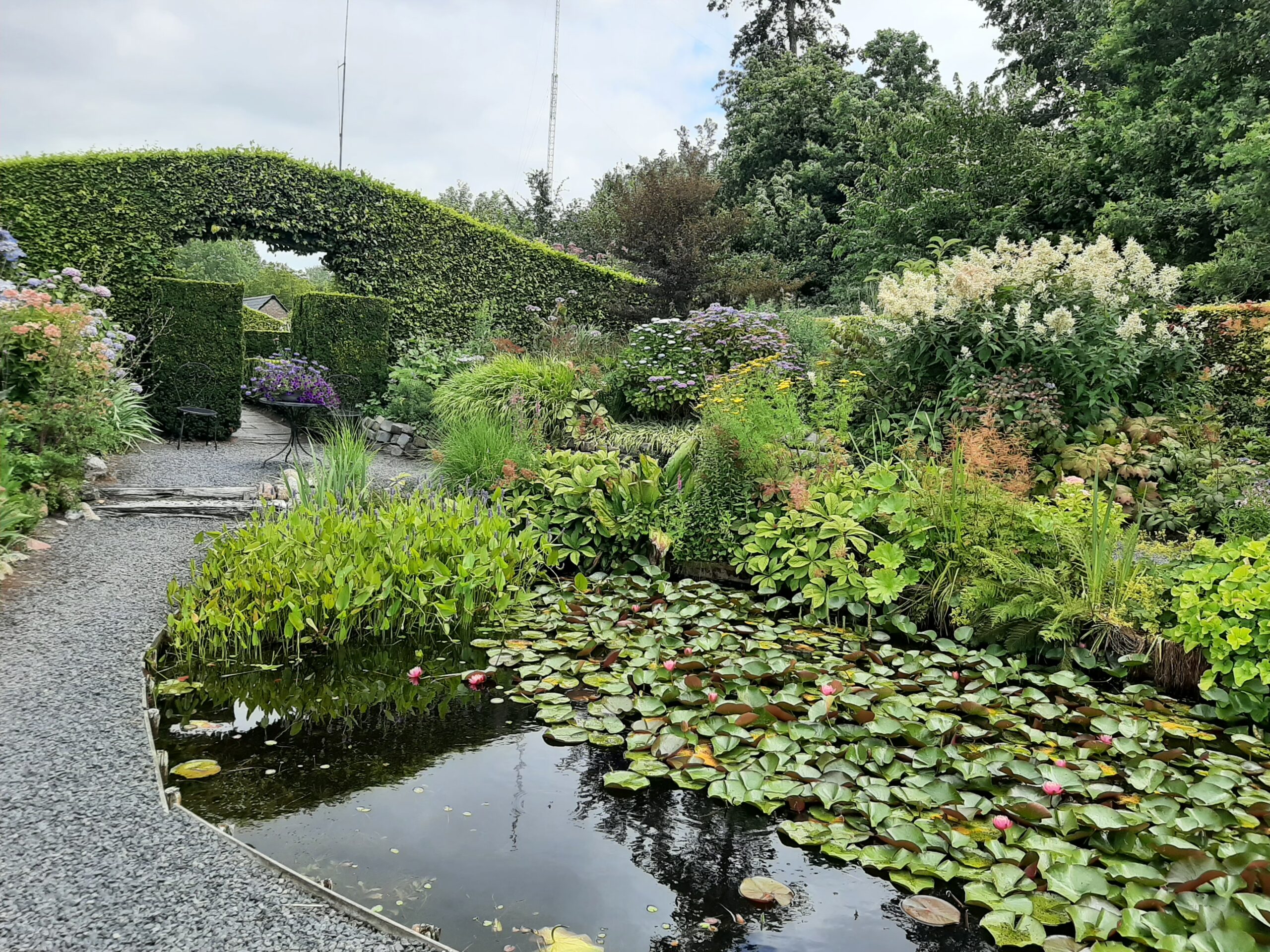Foto’s van de tuin van Cocky Stottelaar in Peize en de tuin van Tuinfleur in Oostwold.