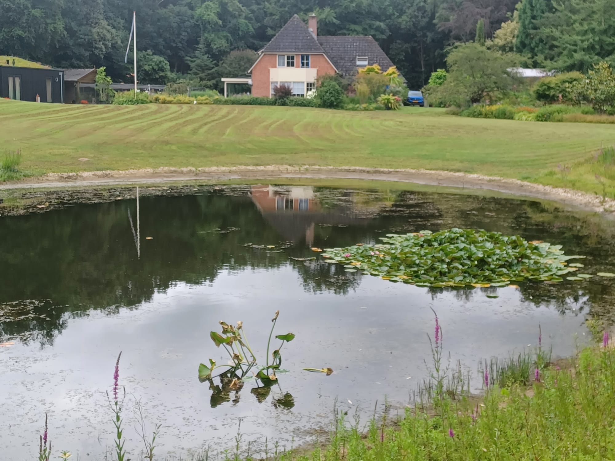 2026 juli – Tuinbezoek van de ‘Bloesem’-dames in ‘De tuin bij Olst’. Erg mooi en een goed verhaal erbij door de eigenaar en dat ook nog eens aangevuld met kunst, gemaakt door de eigenares.