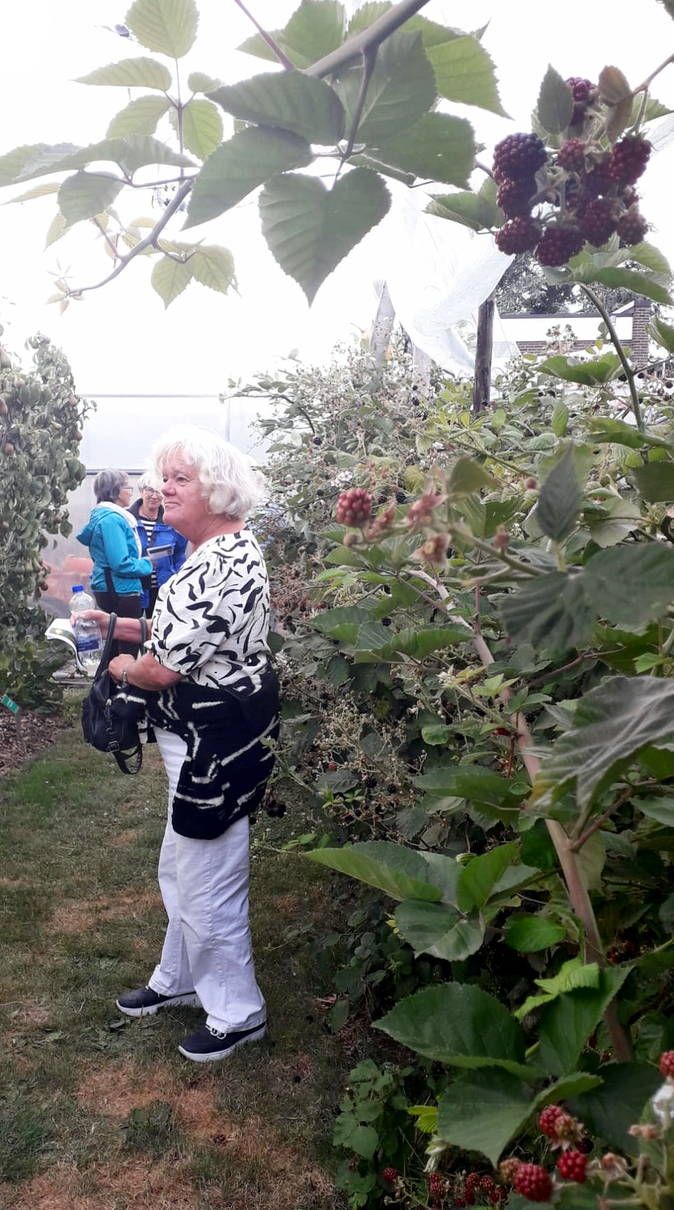 Fietstocht fruitteelt museum Kapelle