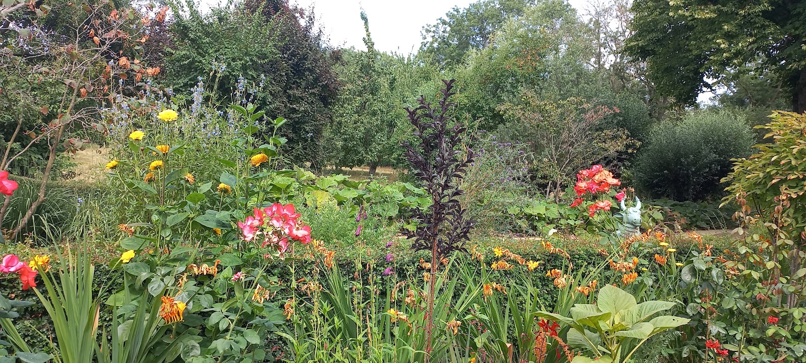 2026-07-23 Bezoek tuin  Lindenhof Kloetinge
