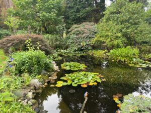 2026 tuin holten de look 23