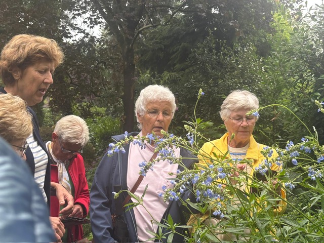 2026-08-18 Tuinclub bezoekt bostuin De Look