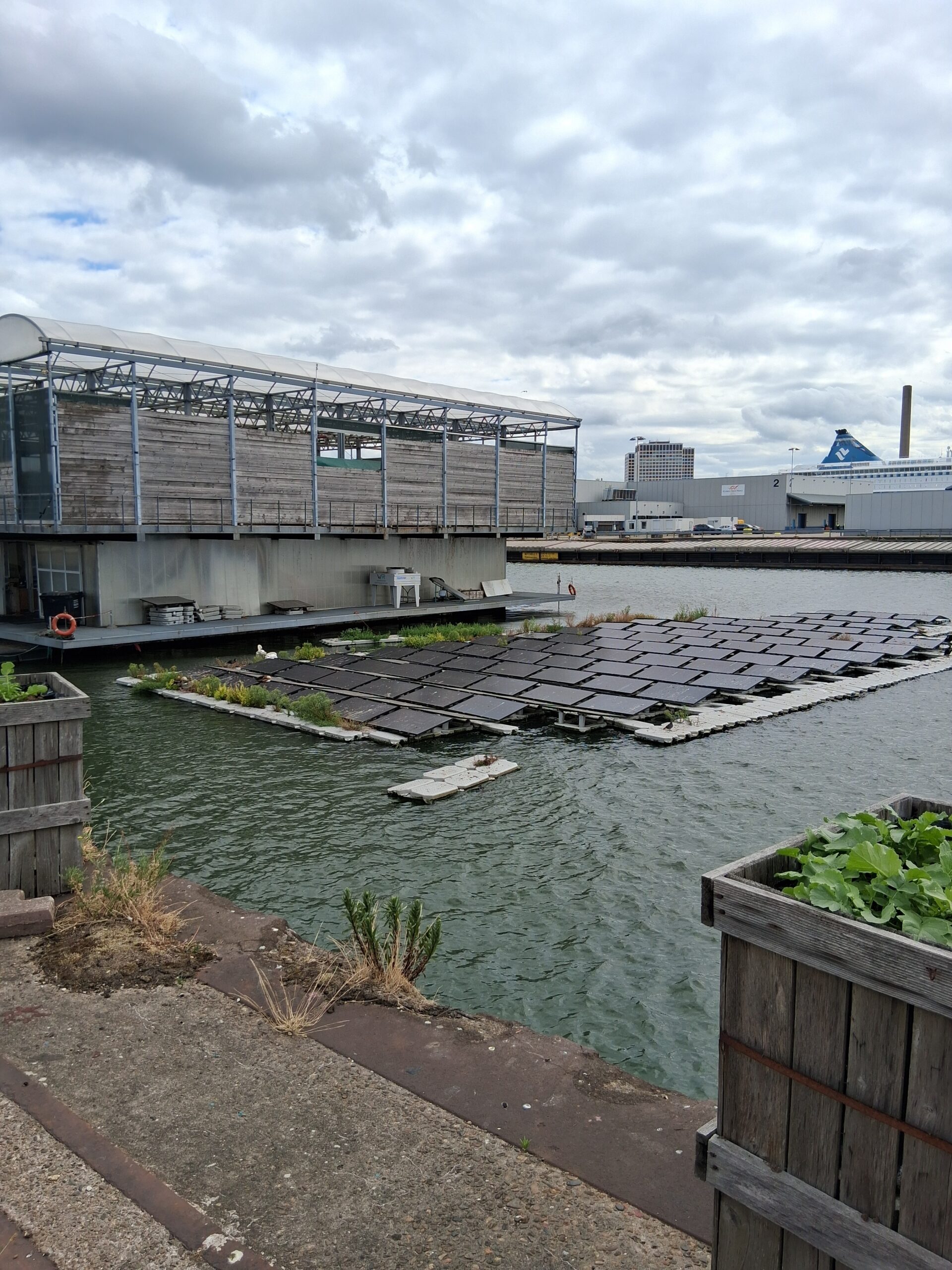 Bezoek FLOATING FARM in Rotterdam