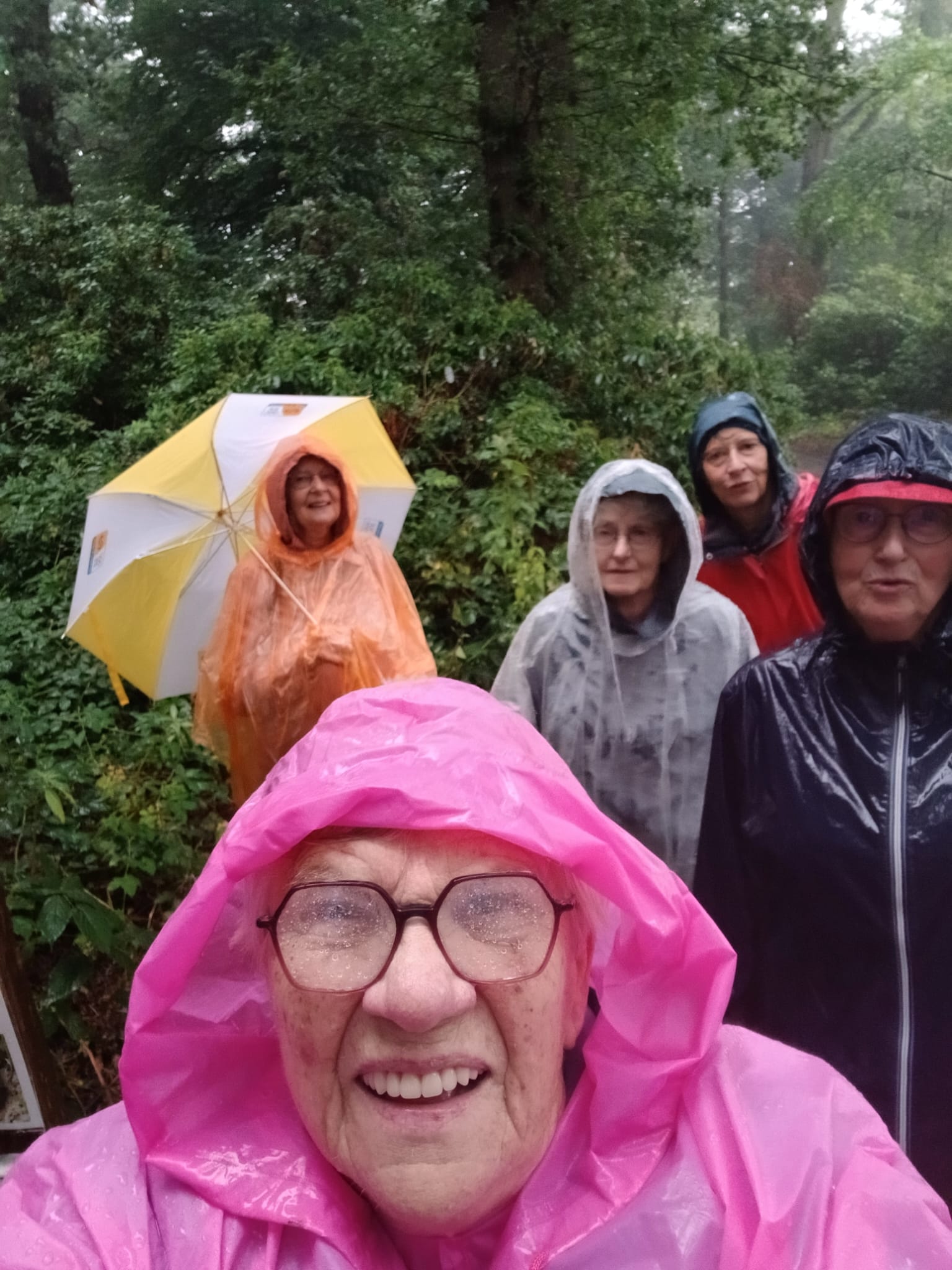 Wekelijkse wandeling, soms in de zon, soms in de schaduw en heel soms in de regen