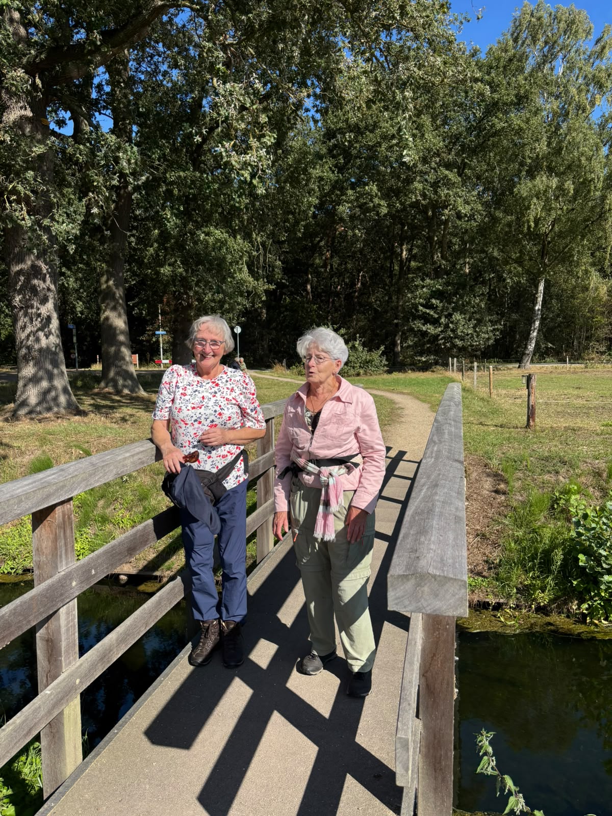 wekelijkse wandeling