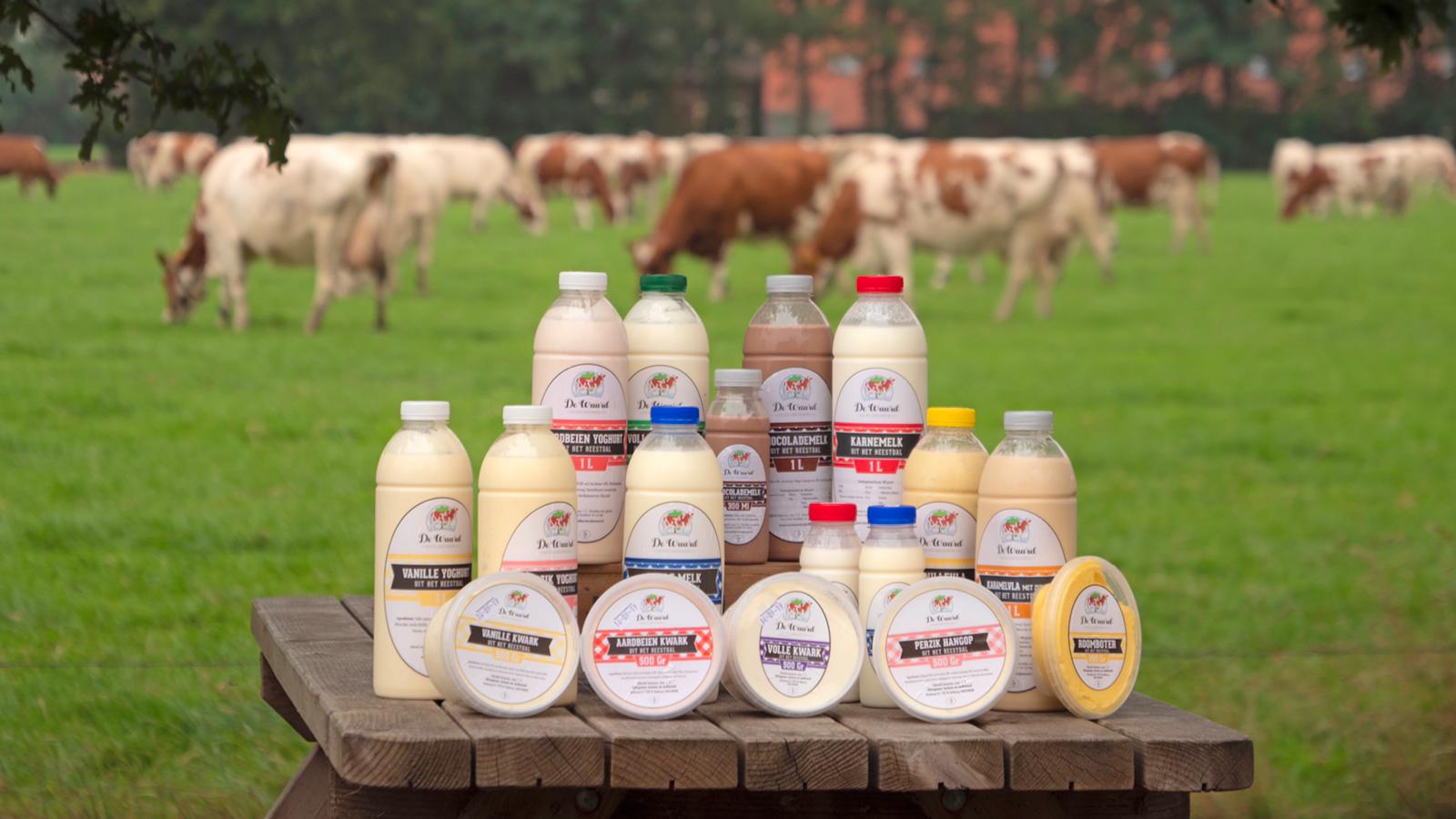 Op bedrijfsbezoek bij zuivelboerderij “de Waard”