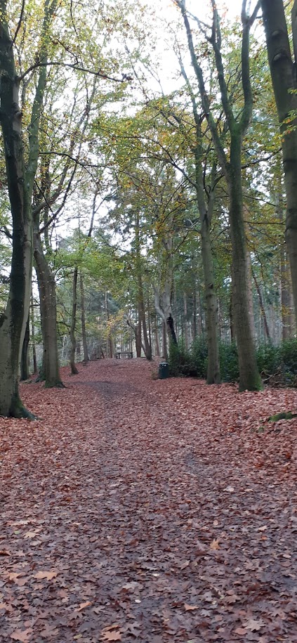 Herfstwandeling Bergen op Zoom