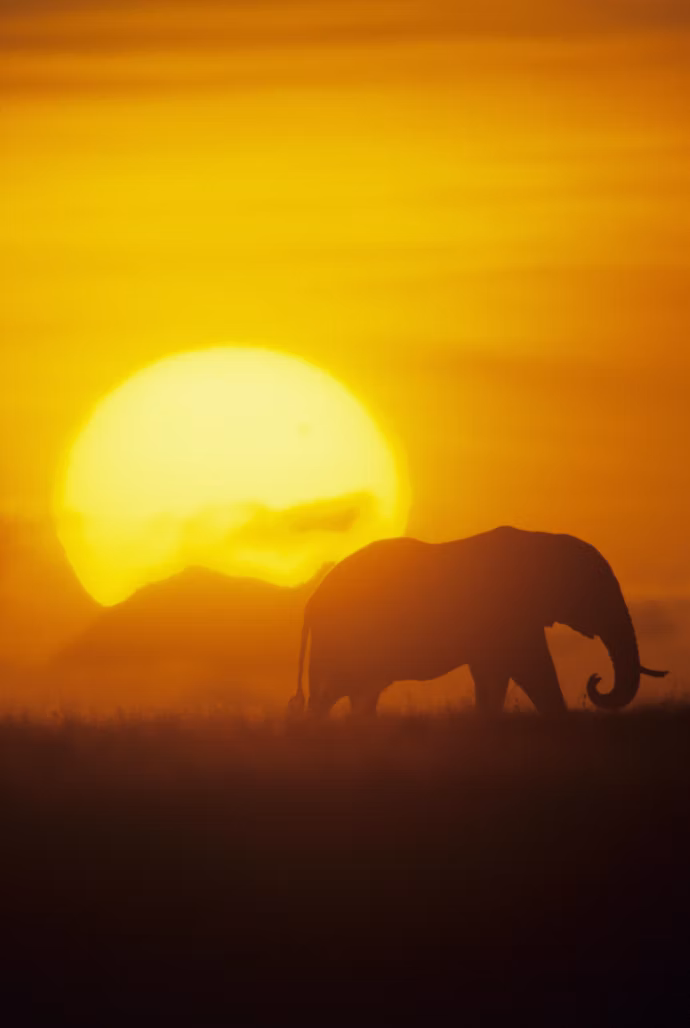 Donderdagmiddag 10 september. Startmiddag met lezing over Afrika