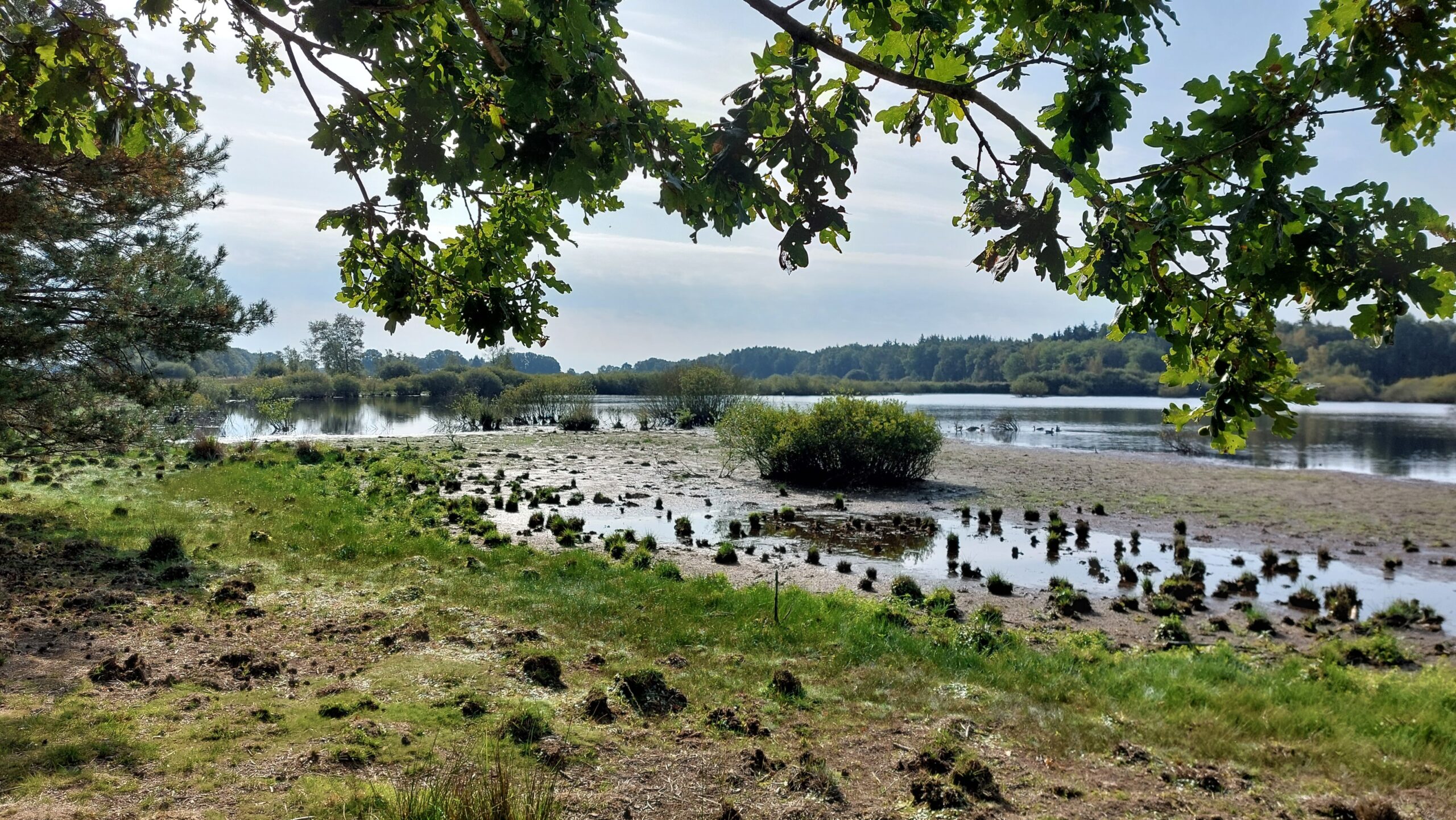 Natuurfilm ‘Wildeboel’