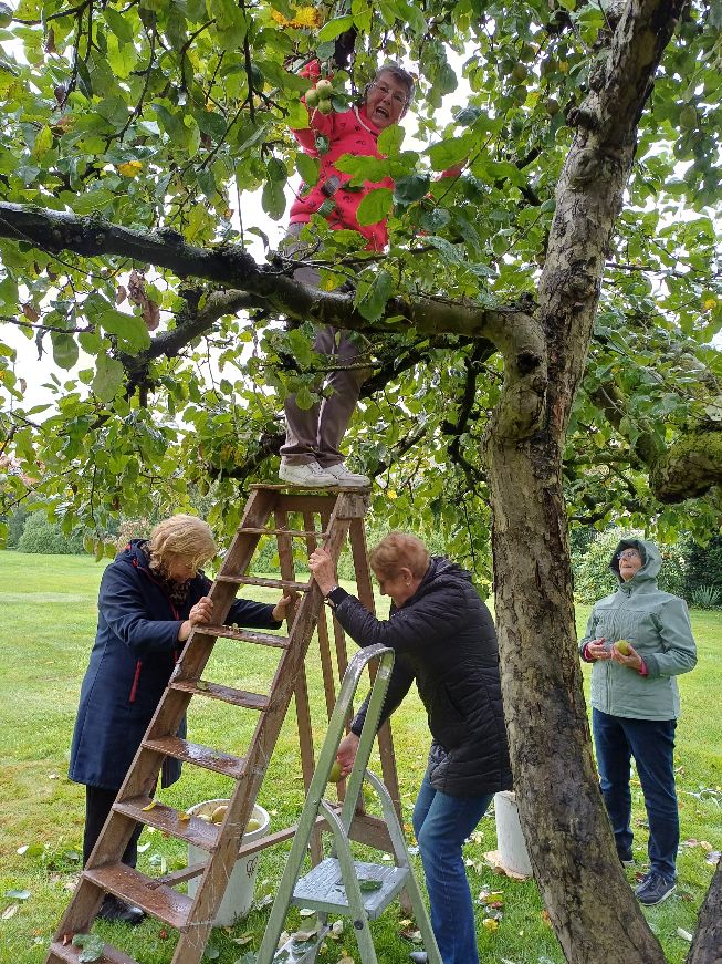 Tuinclub appels plukken