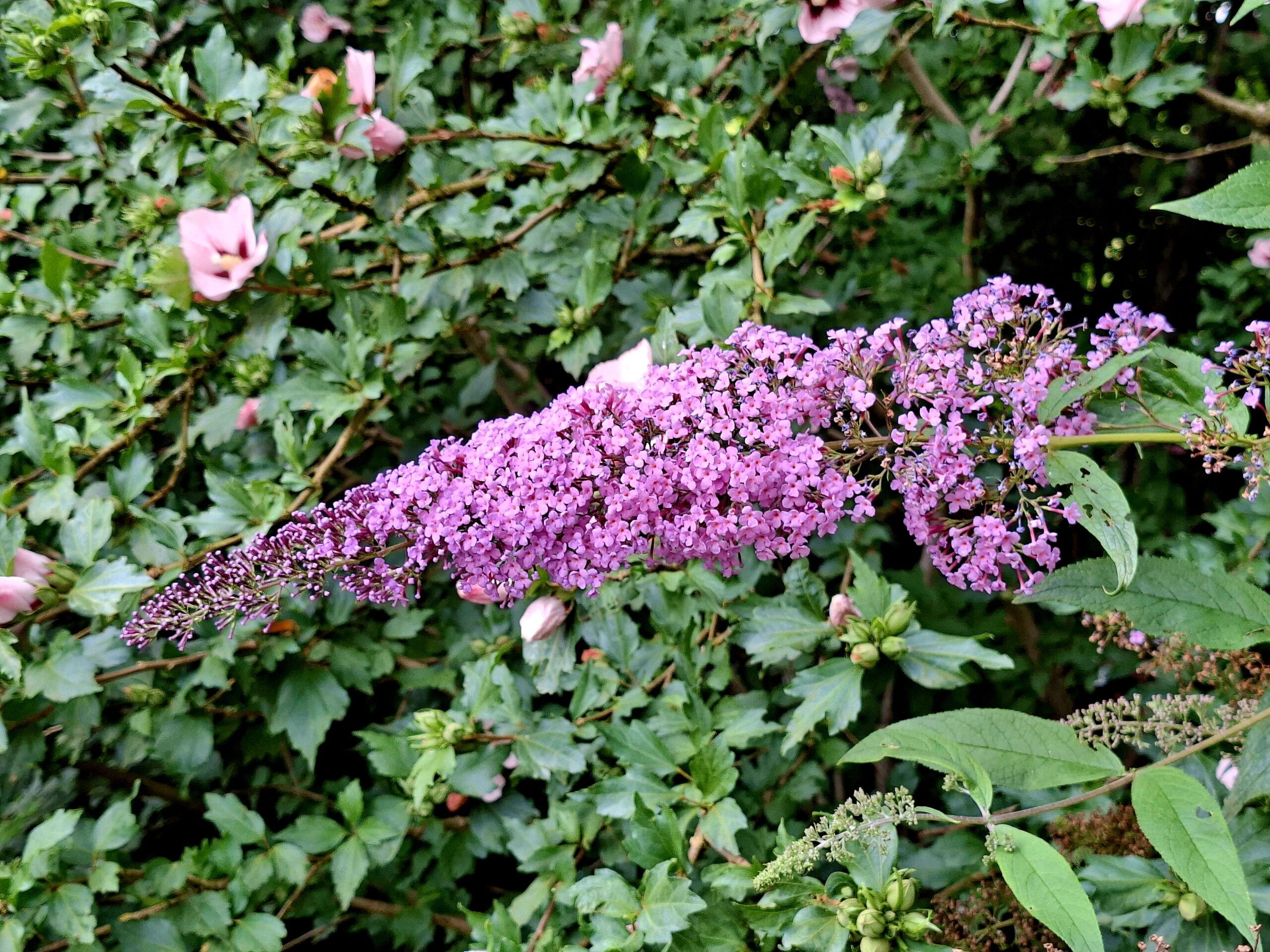 Tuin d’n Uuthoek in Ruurlo