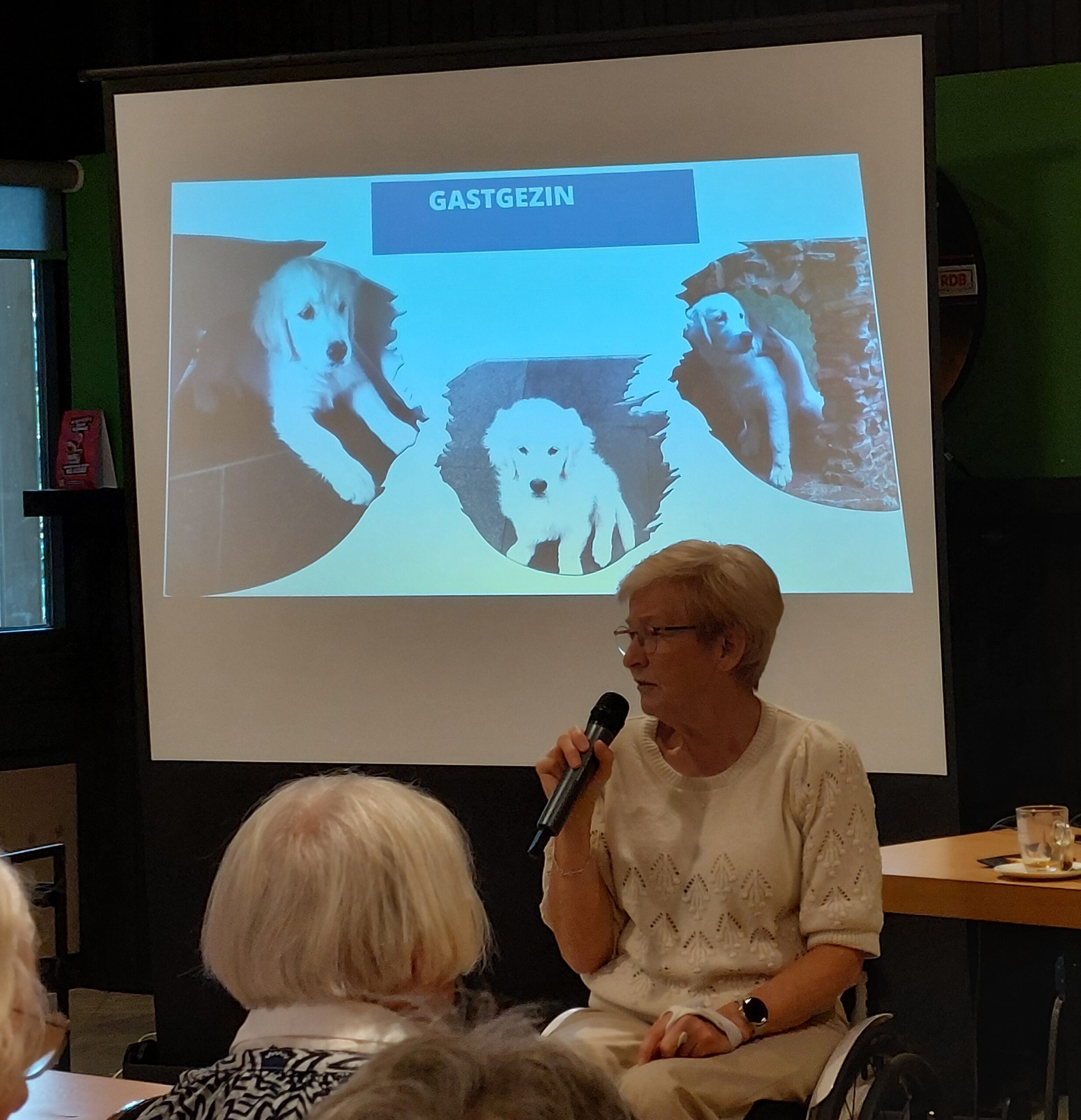 Stichting Hulphond informeerde ons over hoe nauw deze honden samenwerken met hun baasjes en wat ze allemaal kunnen leren. 16-09-2026