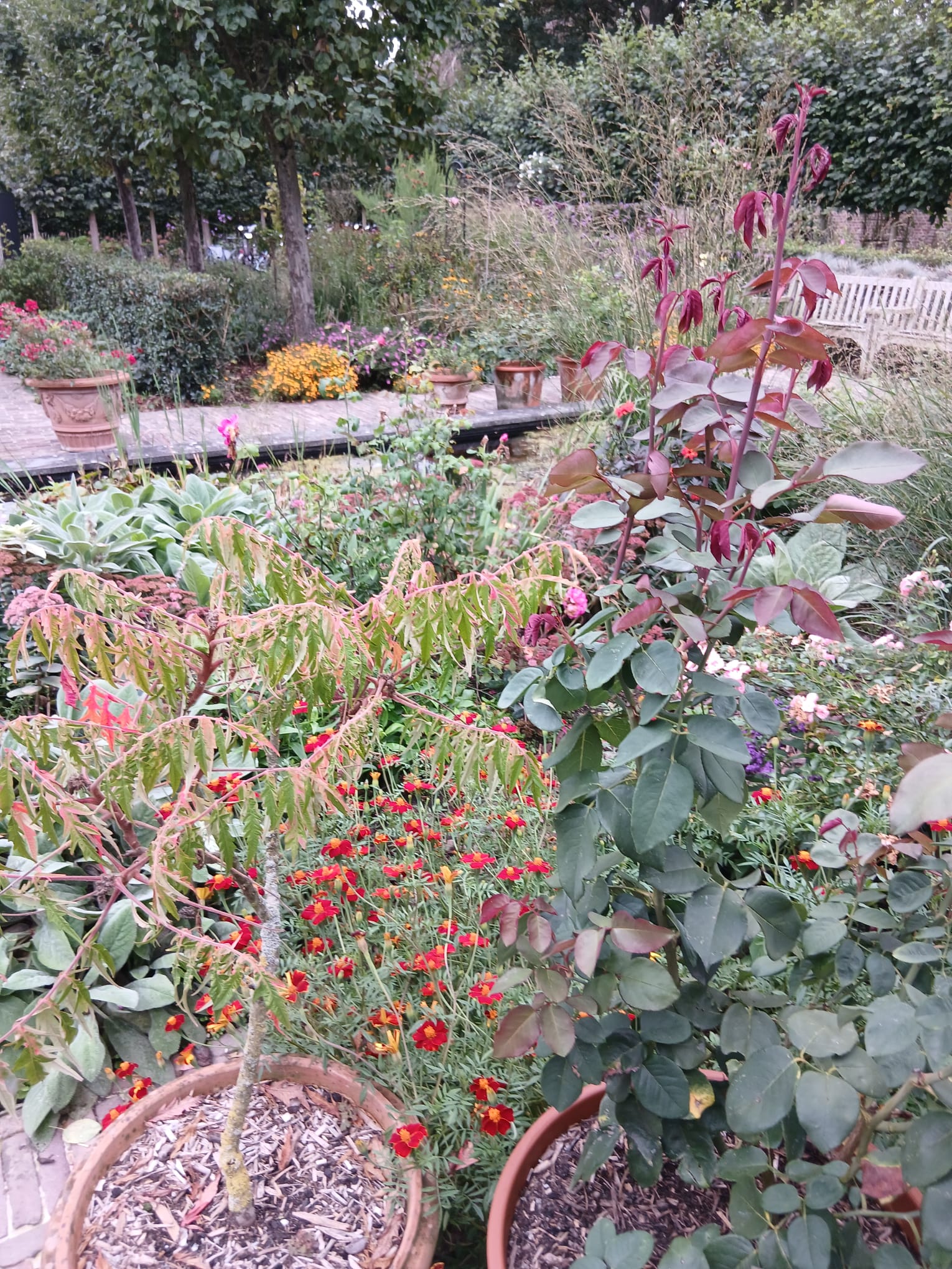 17-9-26 Tuinclub bij tuin Lindenhof Kloetinge