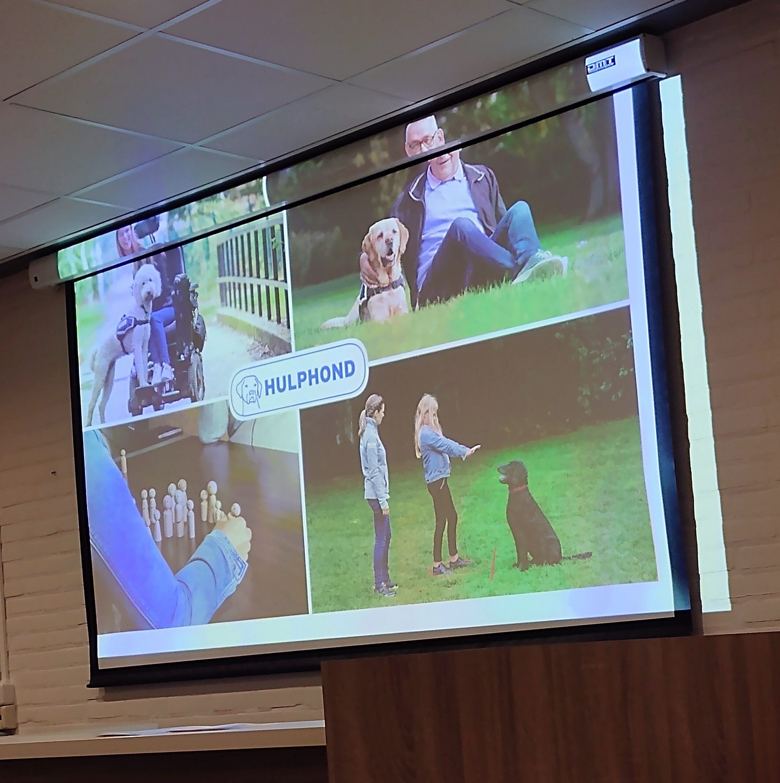 2026 september – Carien van Vliet van Hulphond Nederland vertelt