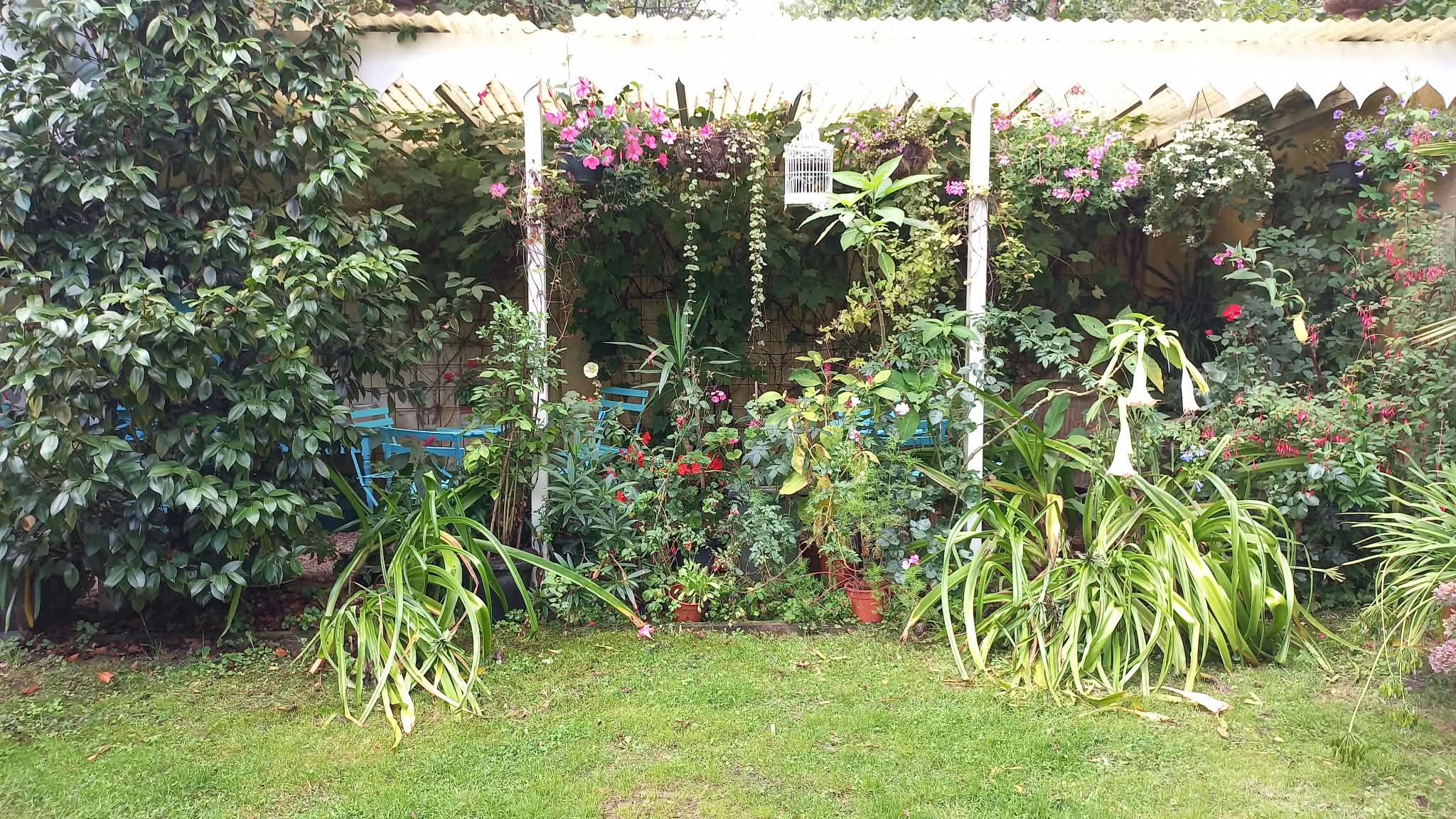 tuin Groot Honschoten 10 september 2026