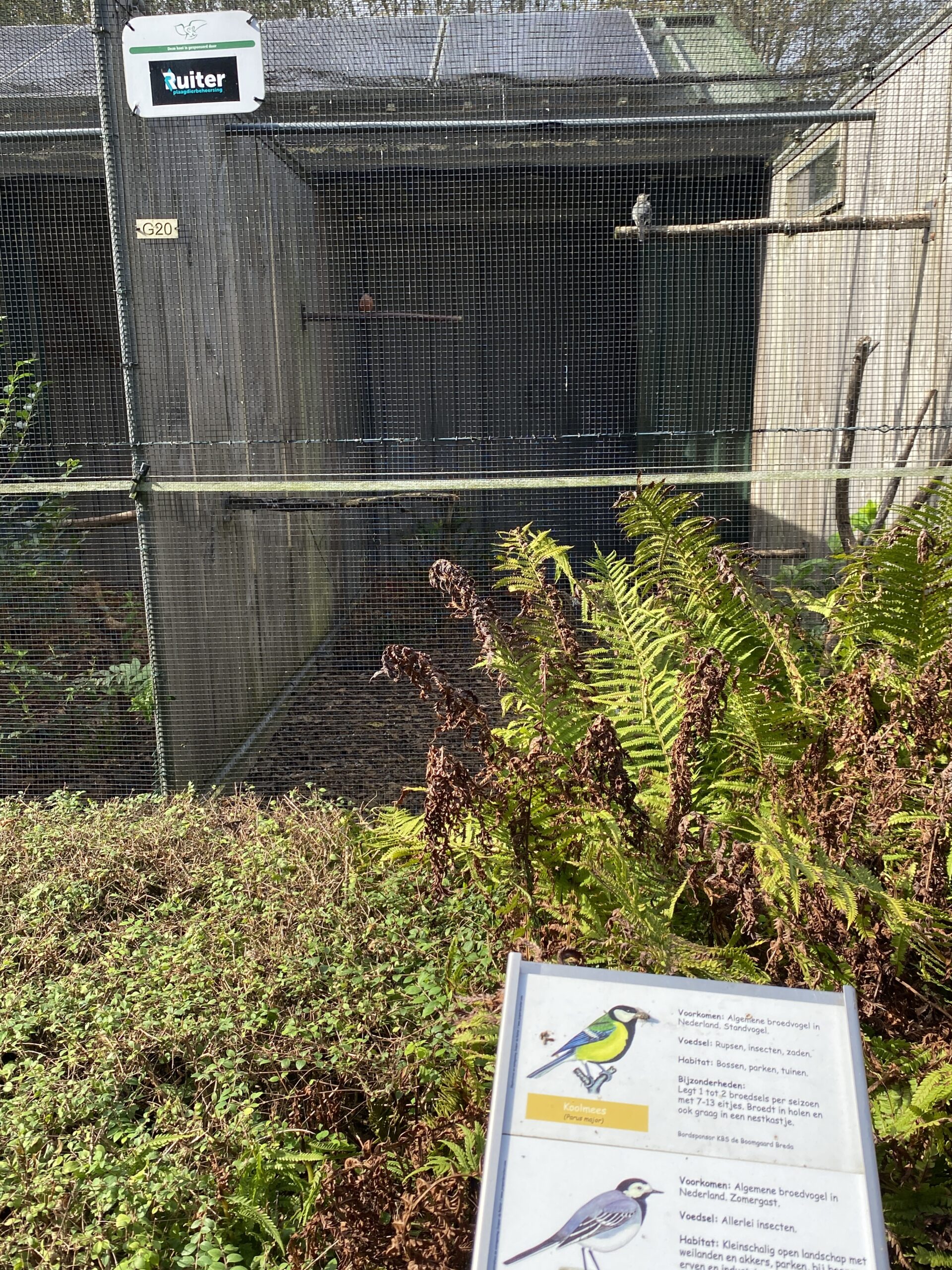 excursie naar Vogelrevalidatiecentrum in Zundert op 23 september 2026