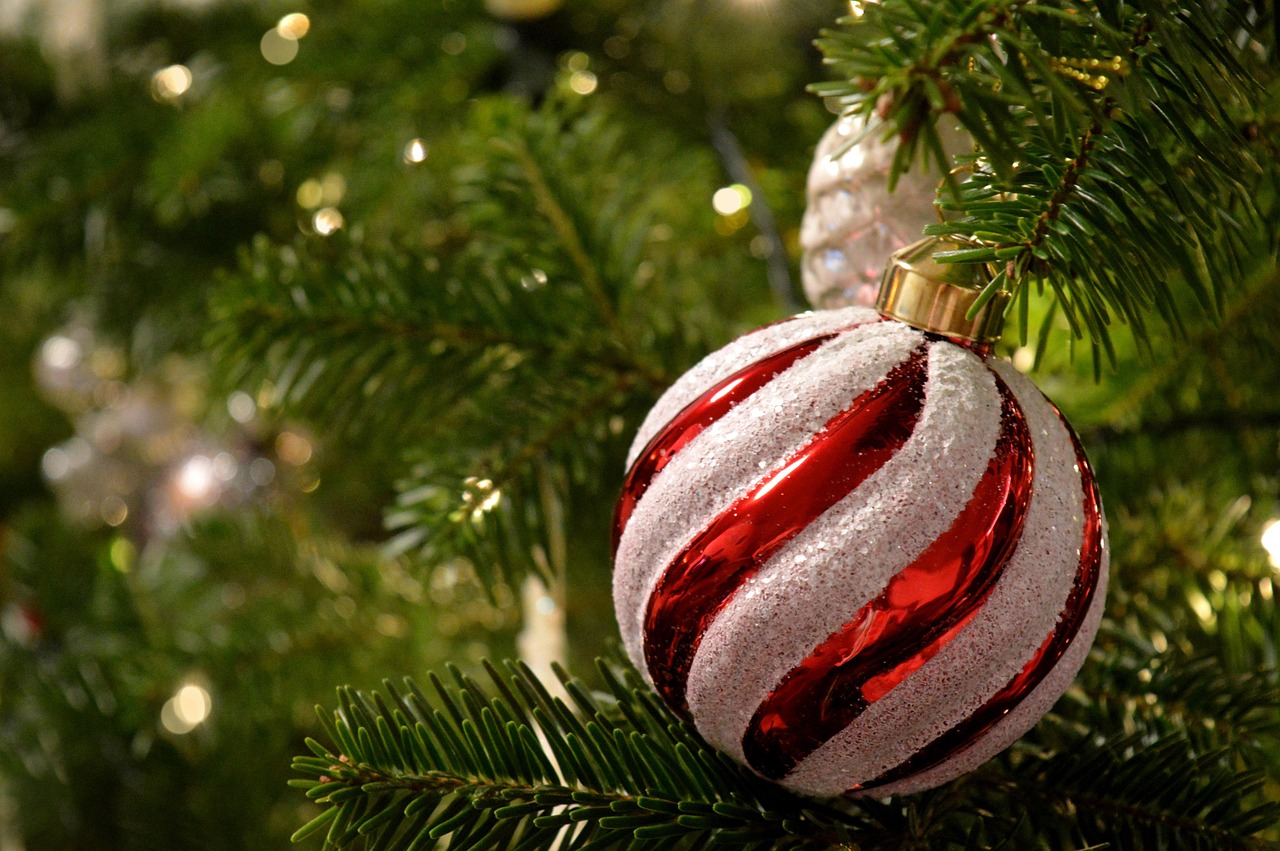 Open dag 2026 . Zaterdag 12 december