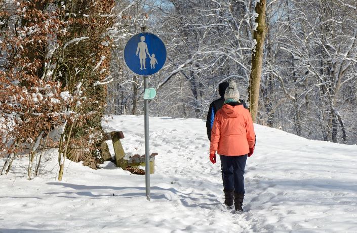 Winterse wandeling