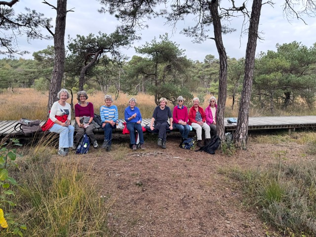 14, 15 en 16 oktober 2026 wandeldagen in Ootmarsum
