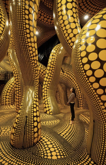Kunst en Cultuurclub lezing kunstenares Kusama door Ad van door Jagt